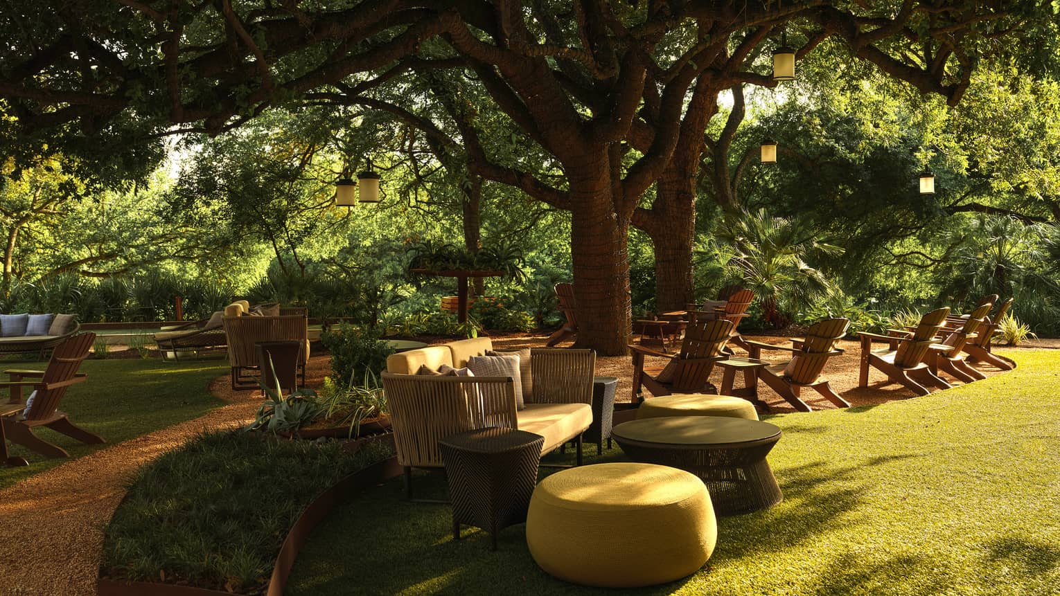 An outdoor sitting area below trees with couches and lawn chairs
