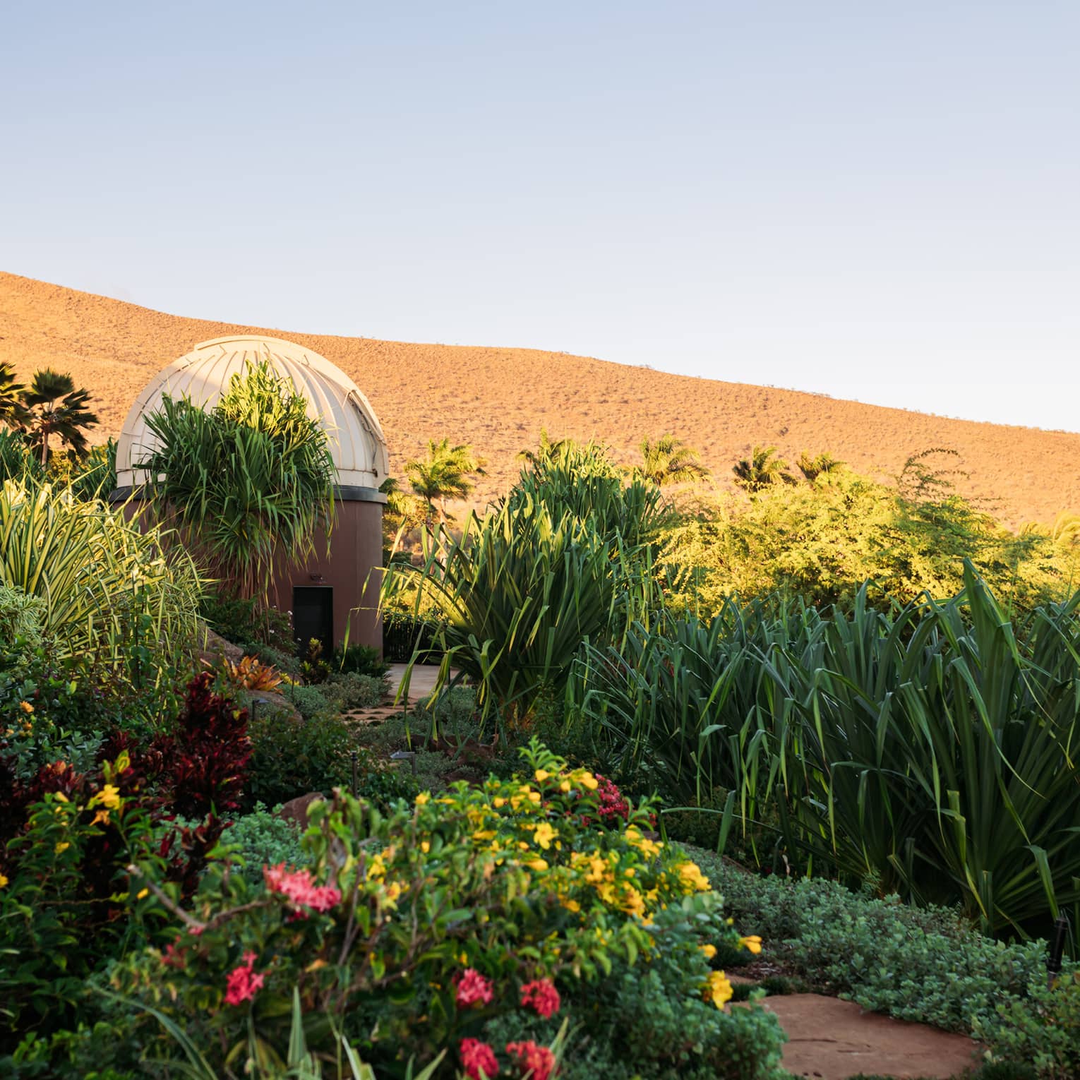 Observatory in a garden setting