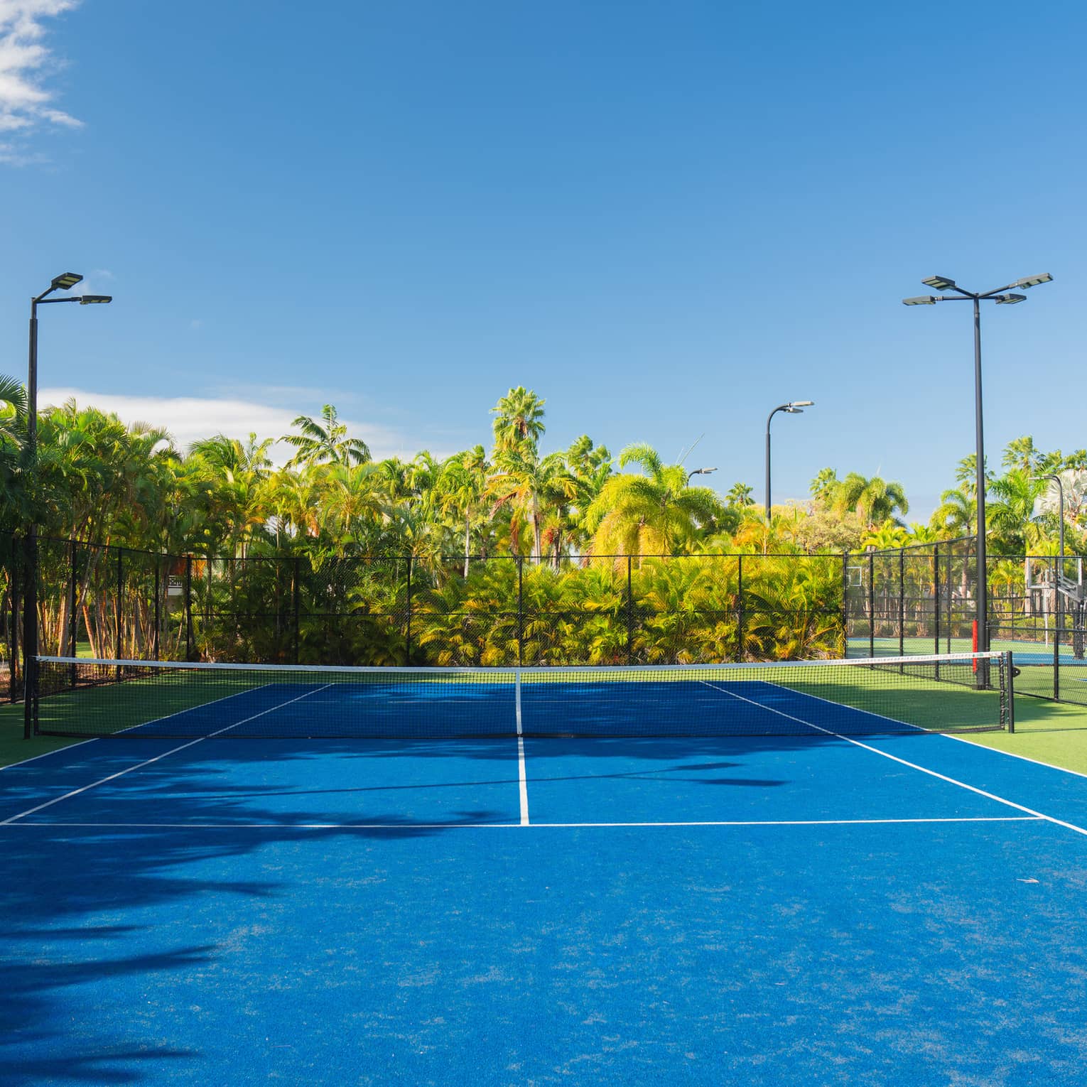 A tennis court with a net and palm trees in the background