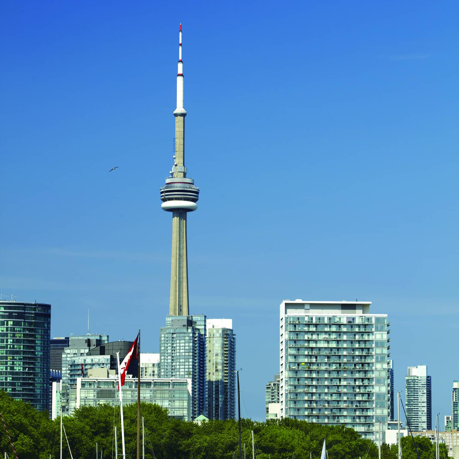 The CN Tower soars above modern high-rises behind the treed shoreline of a harbour filled with sailboats under a blue sky.