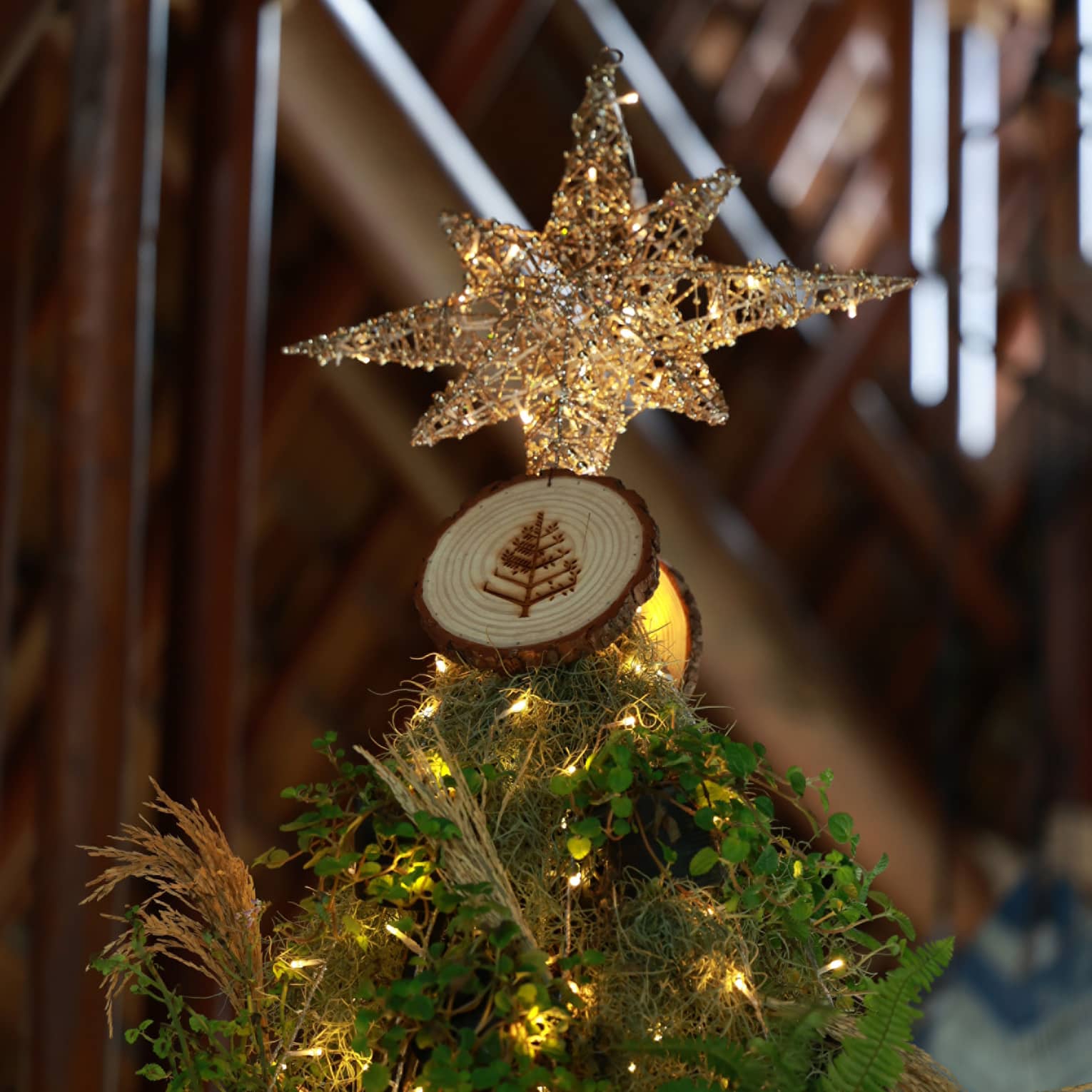Top of Christmas tree with gold string lights and matching tree topper