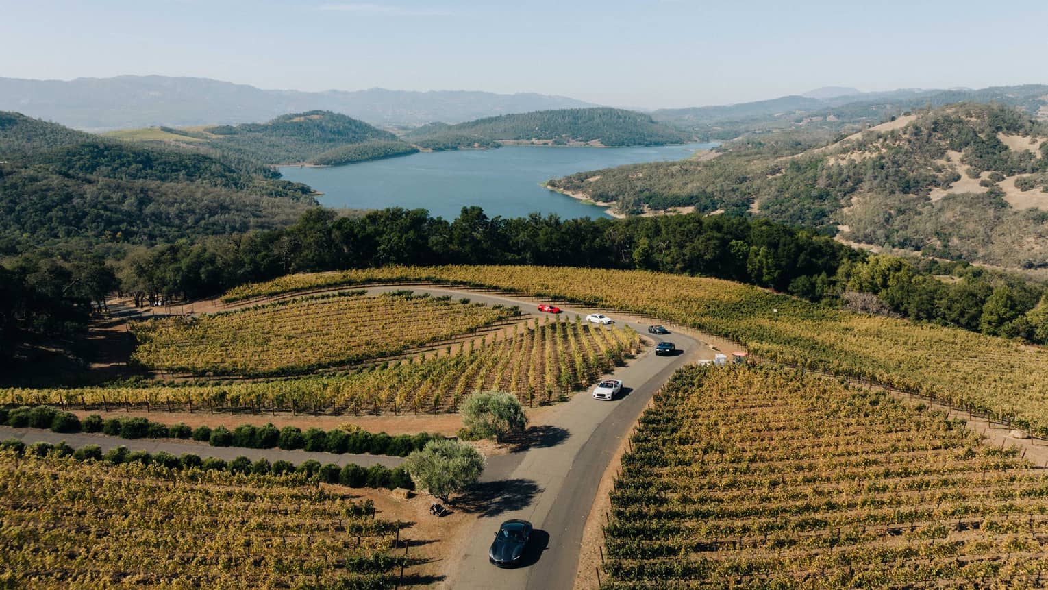 Aerial view of cars driving through a vineyard in Napa Valley