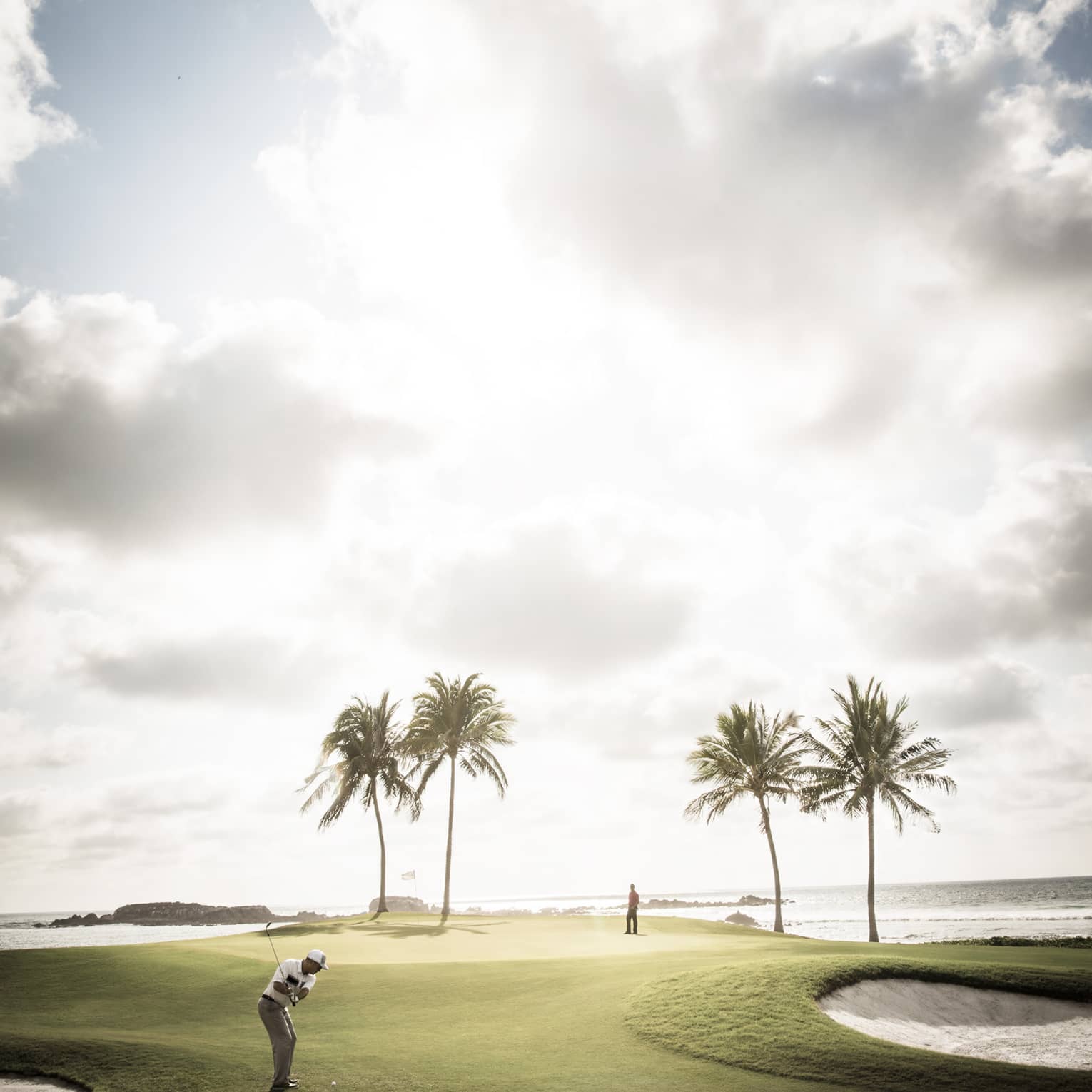Man swings golf club on sunny course green with four palm trees