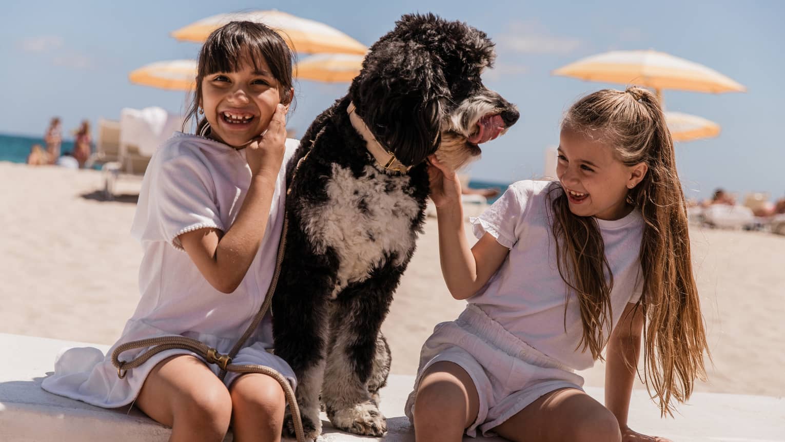 Two smiling children sit on a low concrete wall on the beach with a black-and-white dog seated between them