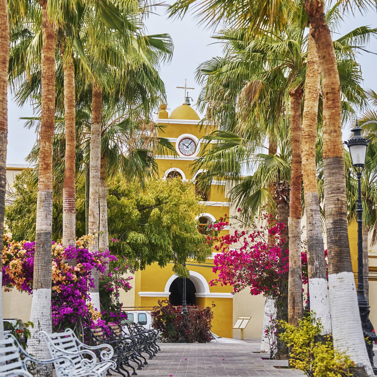 A tiled walkway lined with palm trees, bougainvillea flowers and wrought iron benches leads to a brightly coloured gatehouse.
