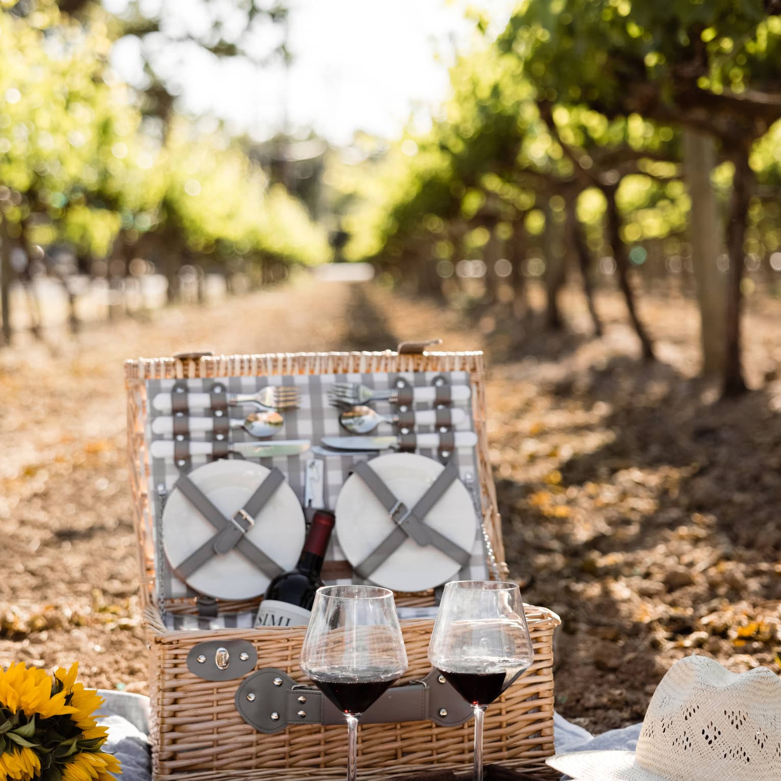 An open wicker picnic basket, two glasses of red wine and a baguette sit on a white blanket among rows of glowing vines.