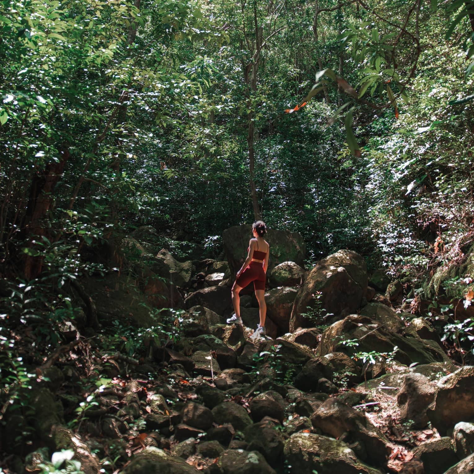 Woman in athletic wear standing atop a rocky hill and surrounded by green forest