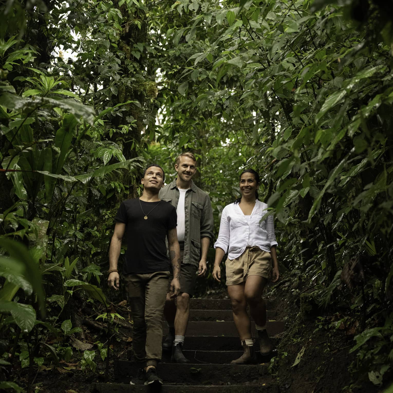 Three adventurous hikers smile as they walk down a wooden staircase surrounded by the lush green foliage of a rainforest.