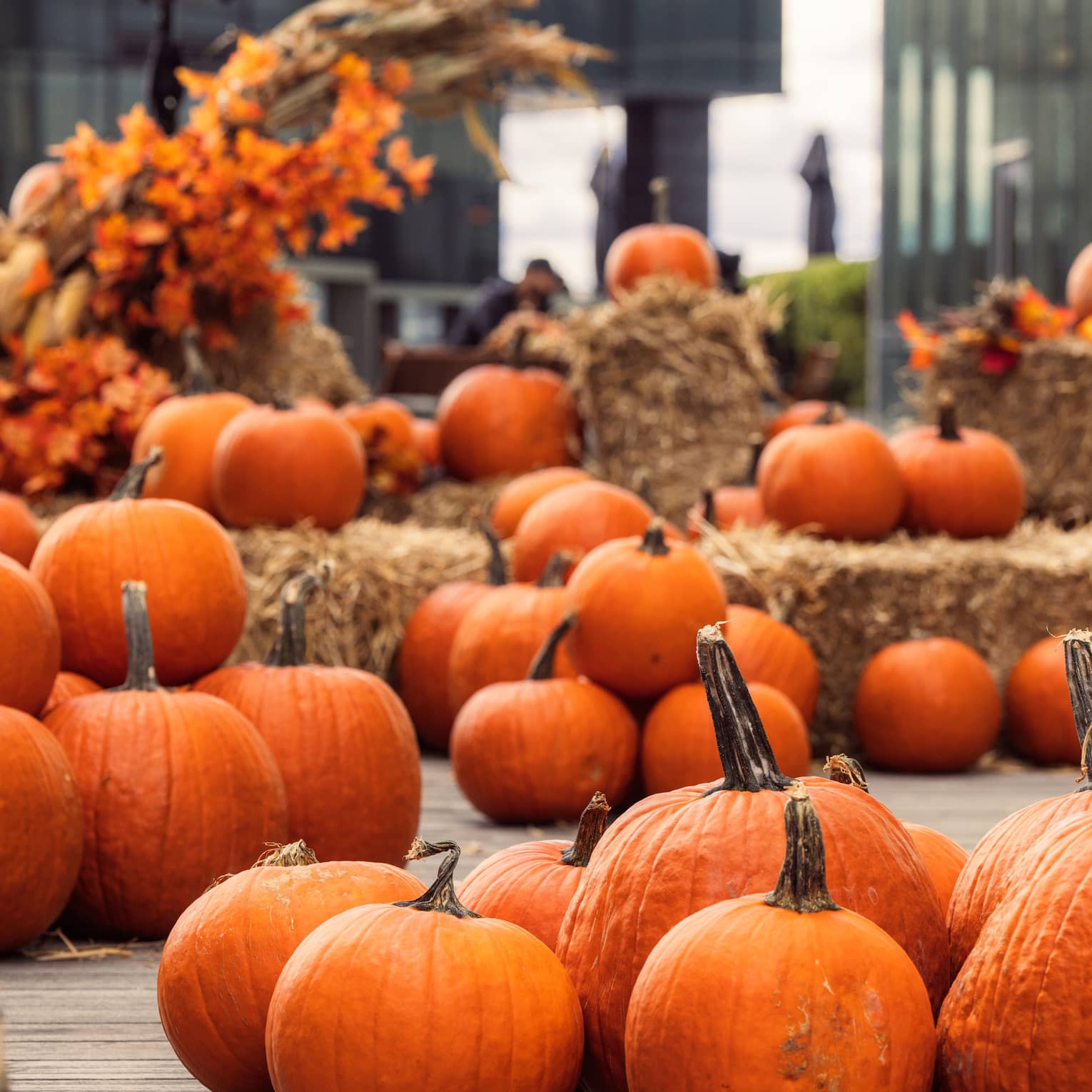 Pumpkin path on rooftop luxury hotel