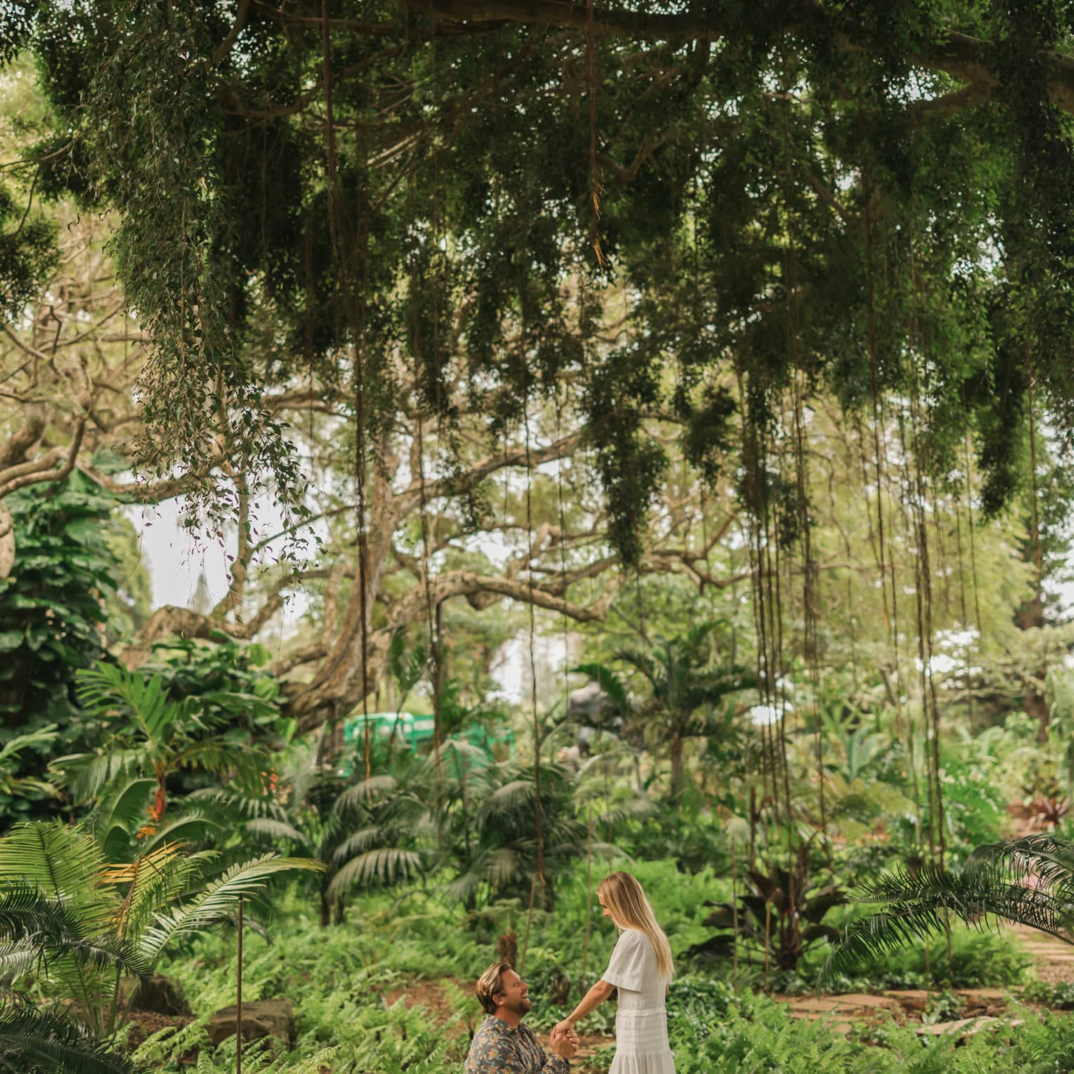 Man proposes to woman on one knee in tropical Lanai forest