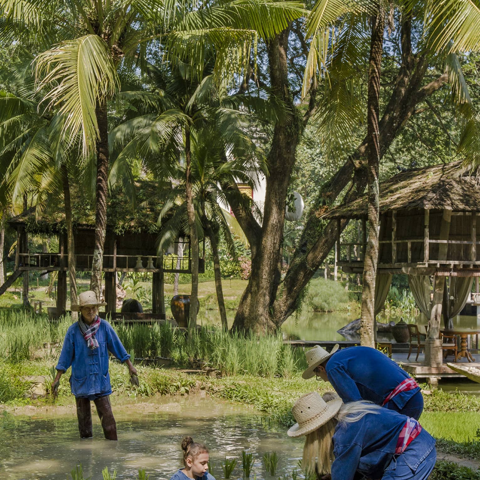 A family in navy blue standing in the brown waters of a rice patty beneath a palm tree.