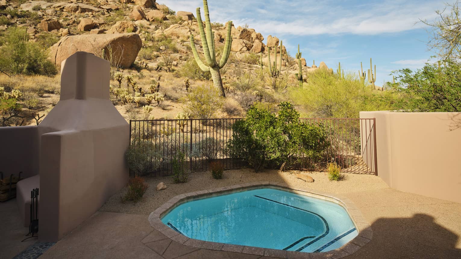 Private plunge pool with desert and cactus views