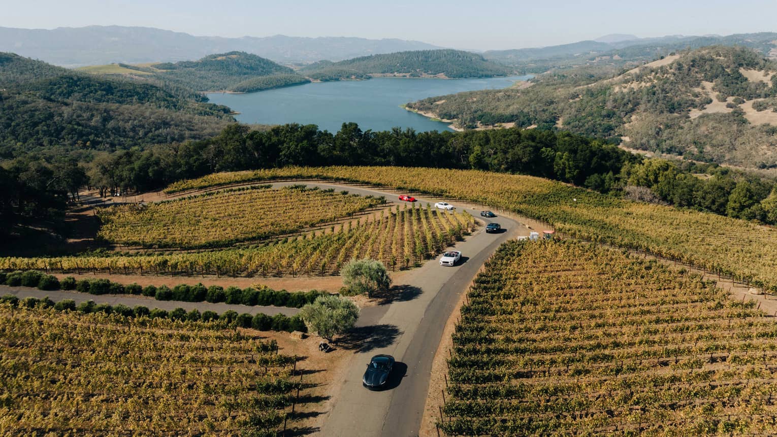 Aerial view of cars driving through a vineyard in Napa Valley