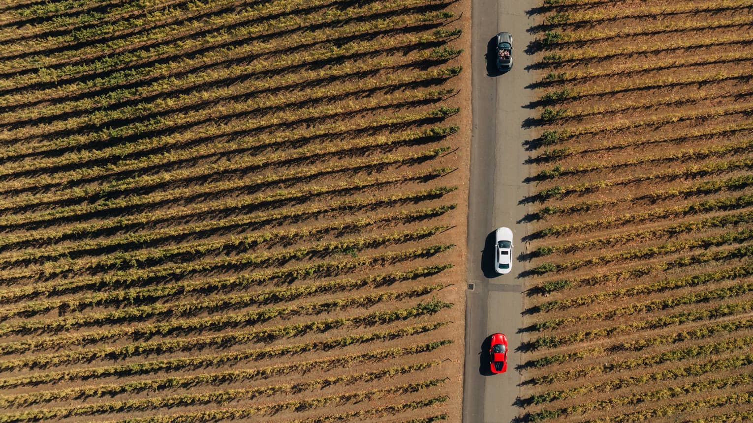 Aerial view of four cars driving in a row on the road.