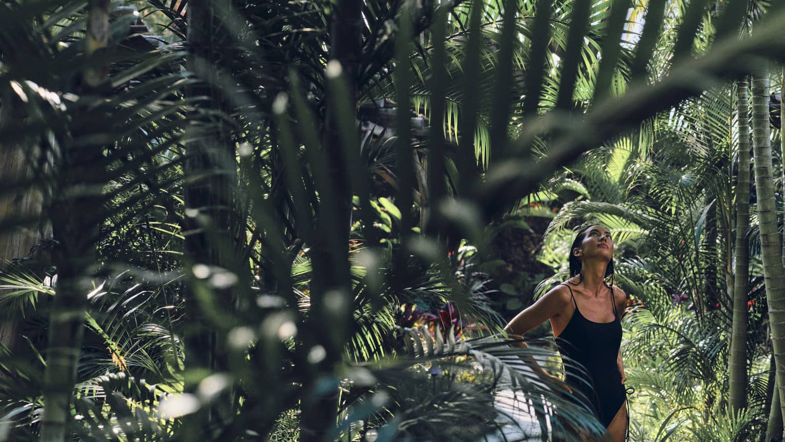 A woman in a black bathing suit walks through lush rainforest