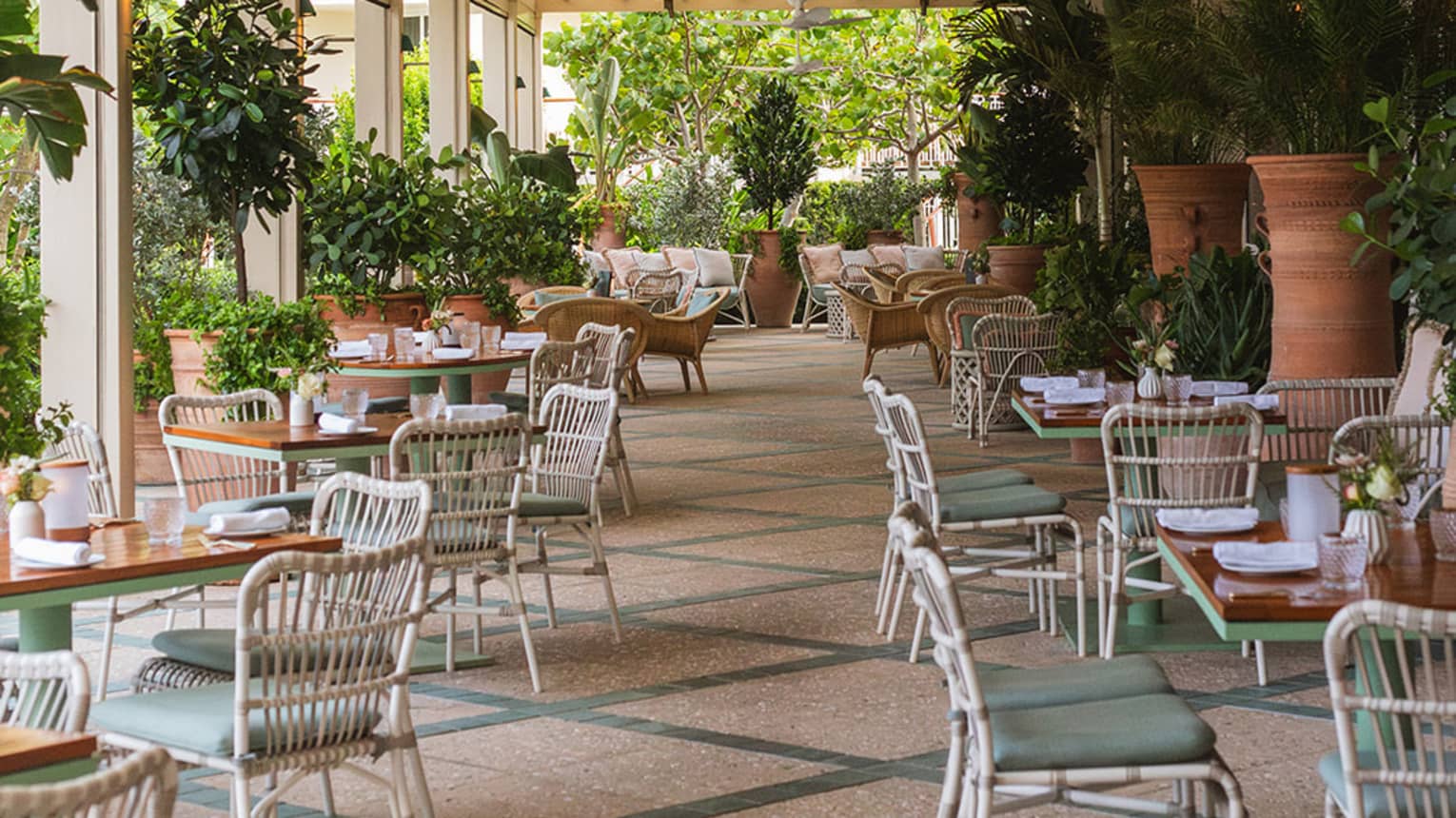 Restaurant terrace with sage green and white decor and live greenery