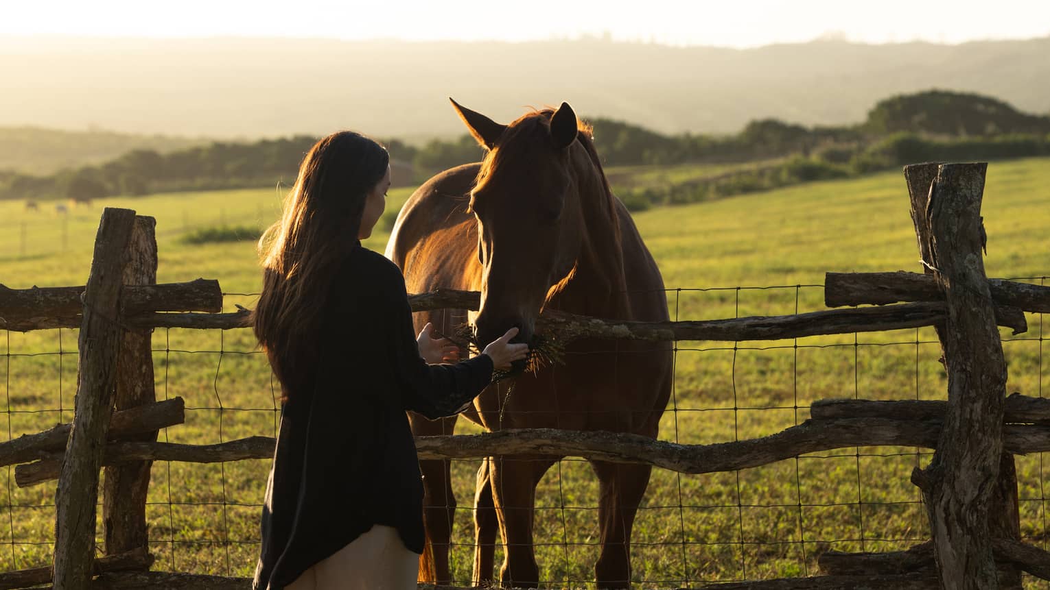 A woman pets a horse in a grass field at sunset