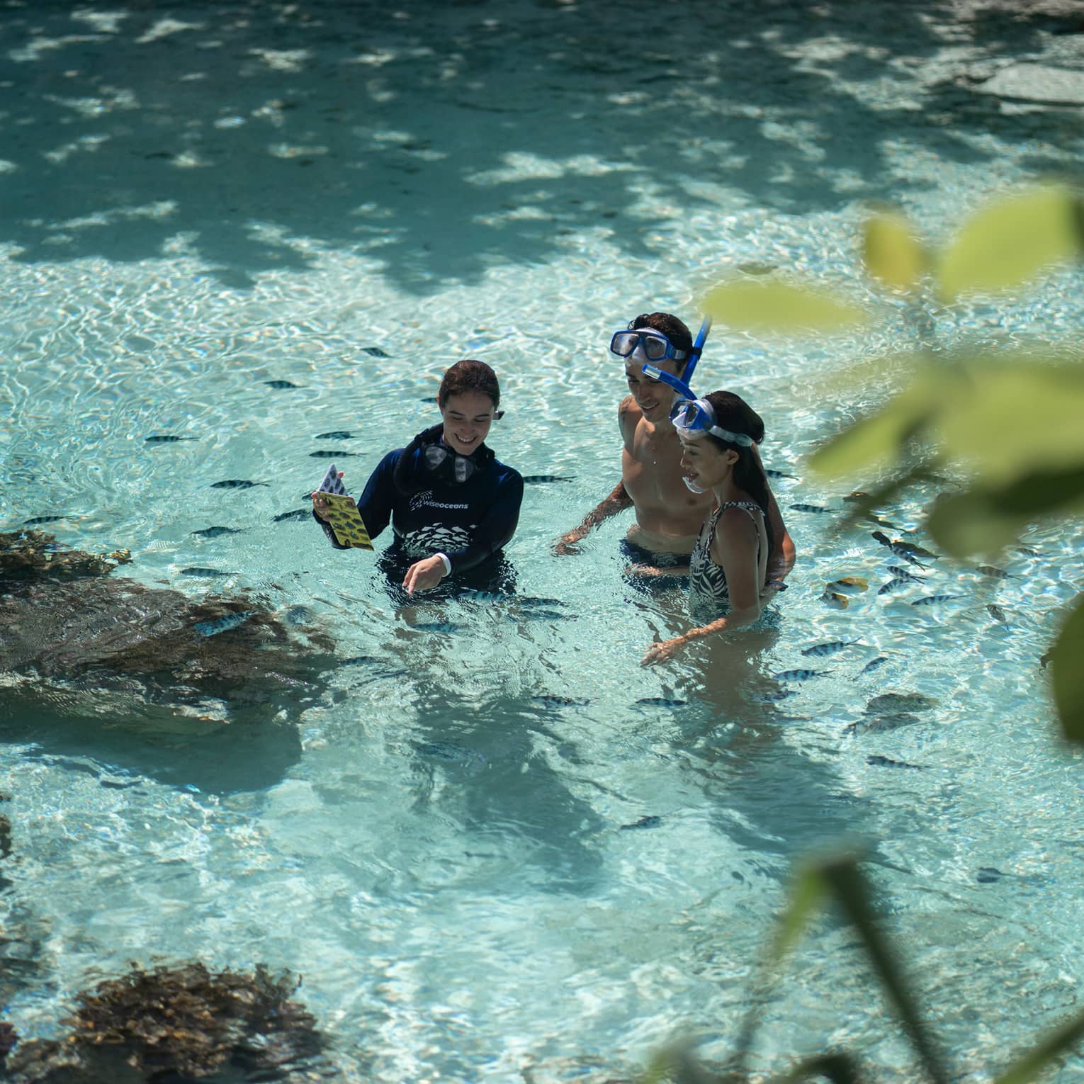 Group of people snorkelling in clear, shallow water, observing small fish and marine life, with rocky formations in the background.