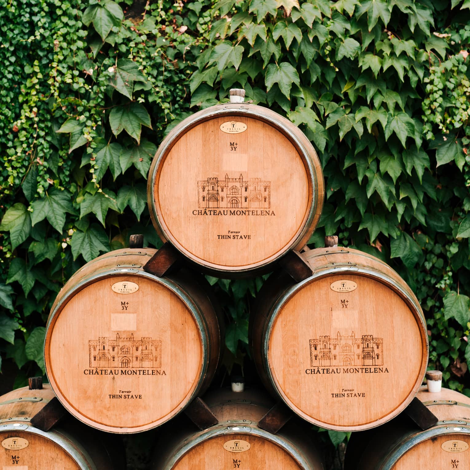 Wine casks stacked on top of each other and surrounded by plants
