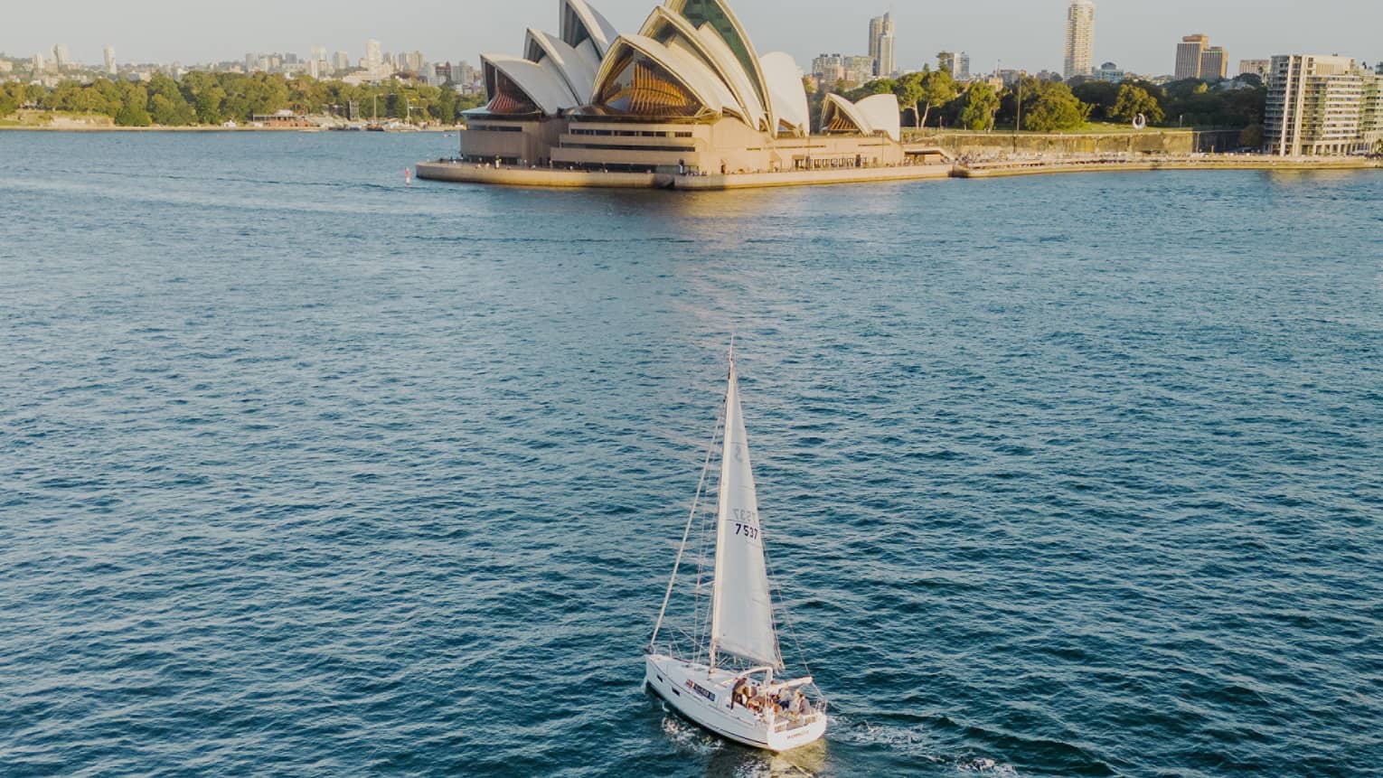 A white sailboat approaches the Sydney Opera House from the harbour, the frame mostly filled with deep blue wavy water.