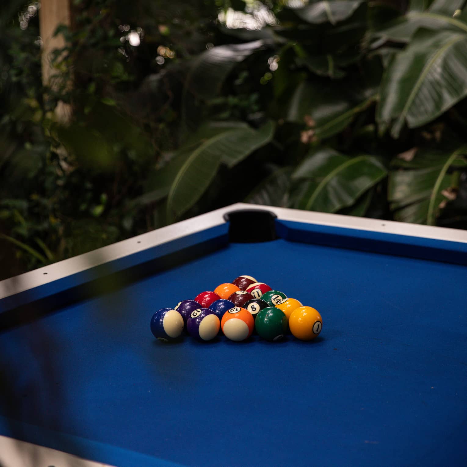 Blue billiards table surrounded by lush greenery