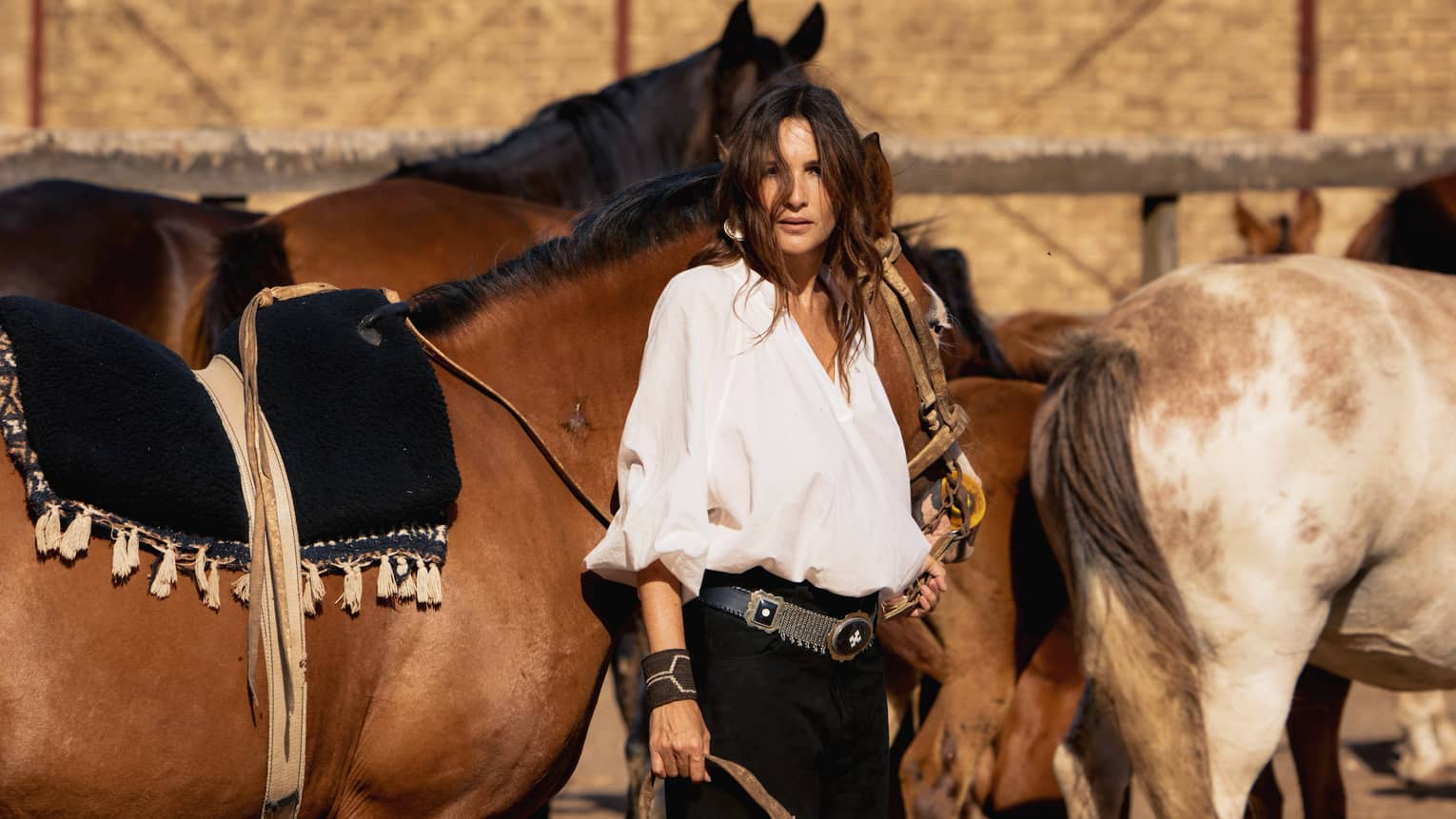 Woman with long dark hair wearing a loose-fitting white button-down shirt, black pants, brown boots and a large belt stands holding the reins of a brown horse with multiple other horses in the background
