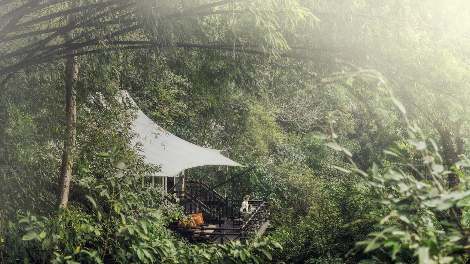 Woman stands on treetop terrace patio, surrounded by tropical forest