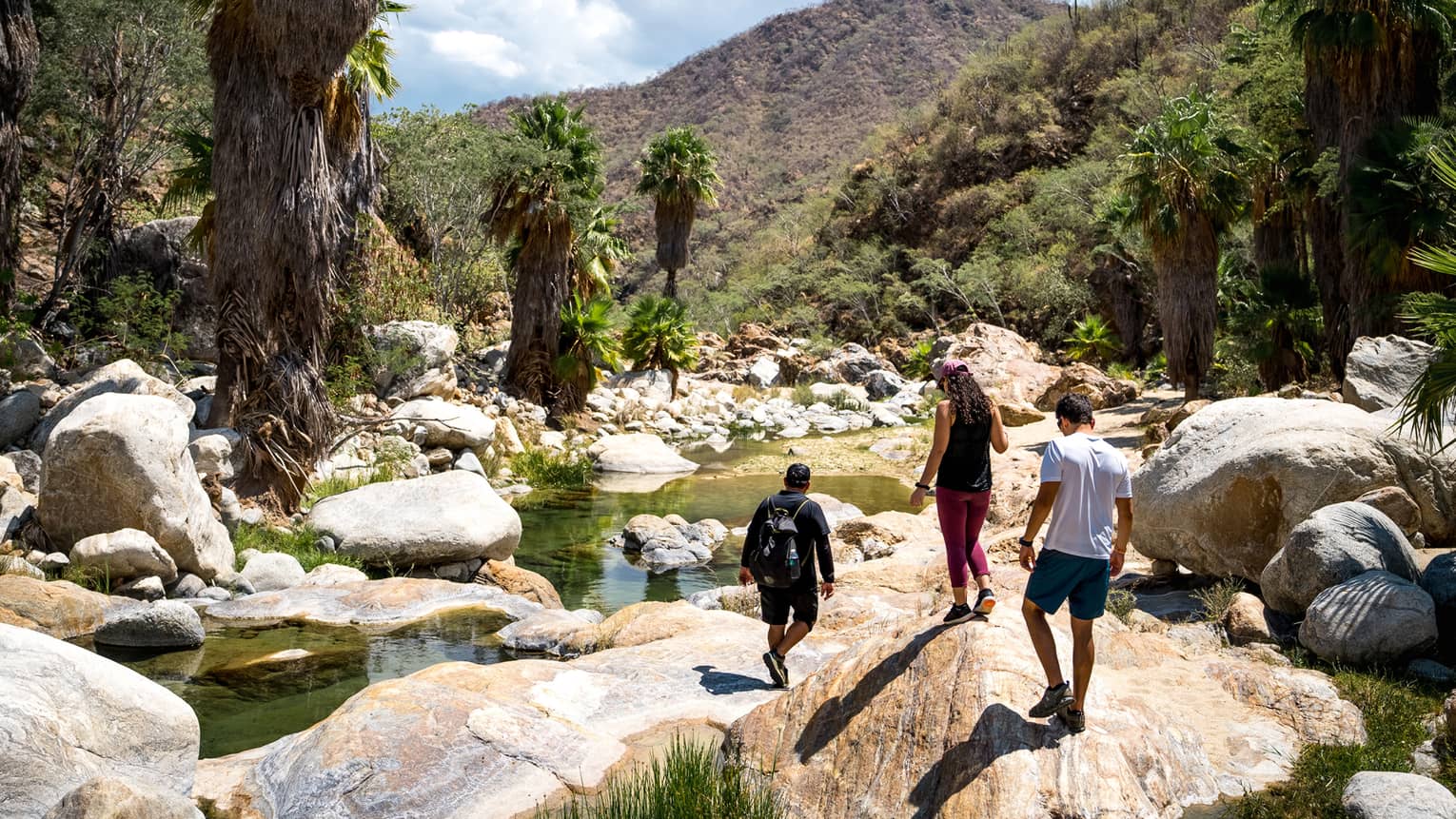 Rear view of three people hiking over boulders along a valley stream flanked by palm trees and verdant hills on a sunny day.
