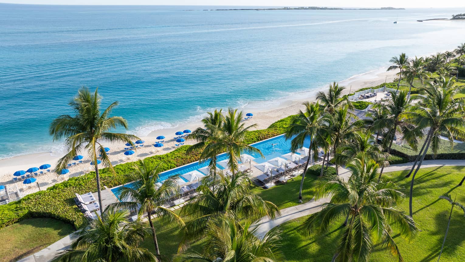 The sunny resort framed by trees