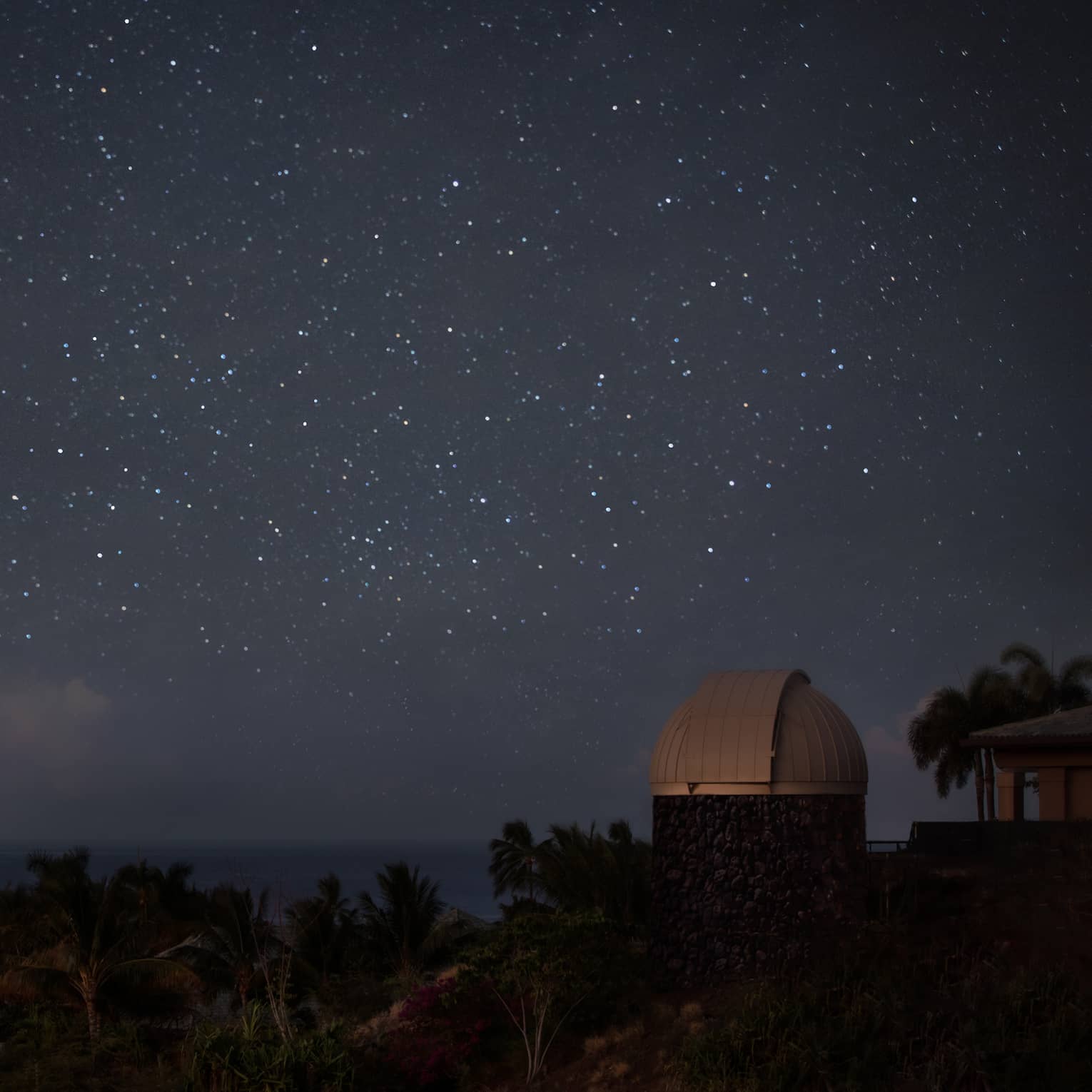 Starry night sky over field