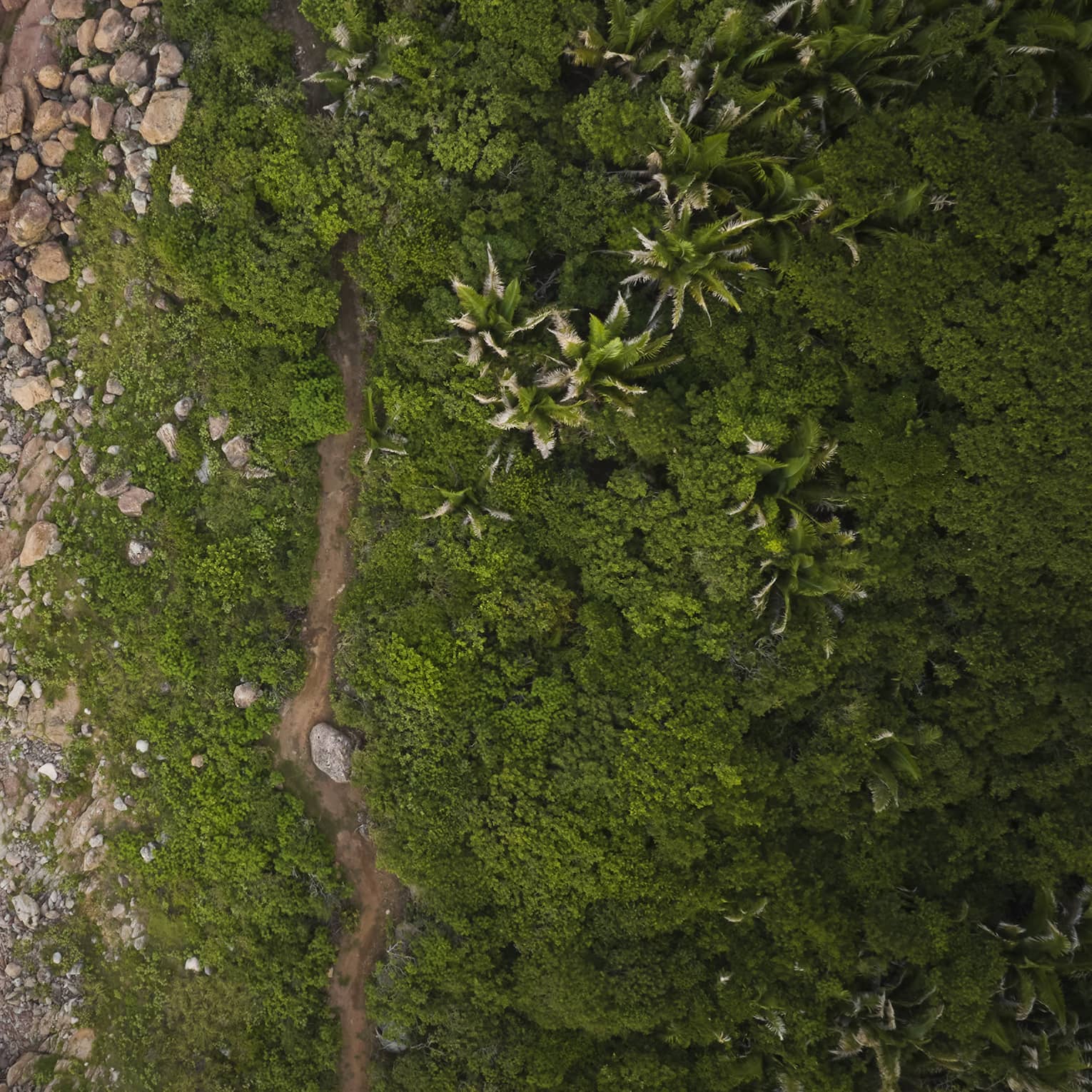 Aerial view of a rocky beach