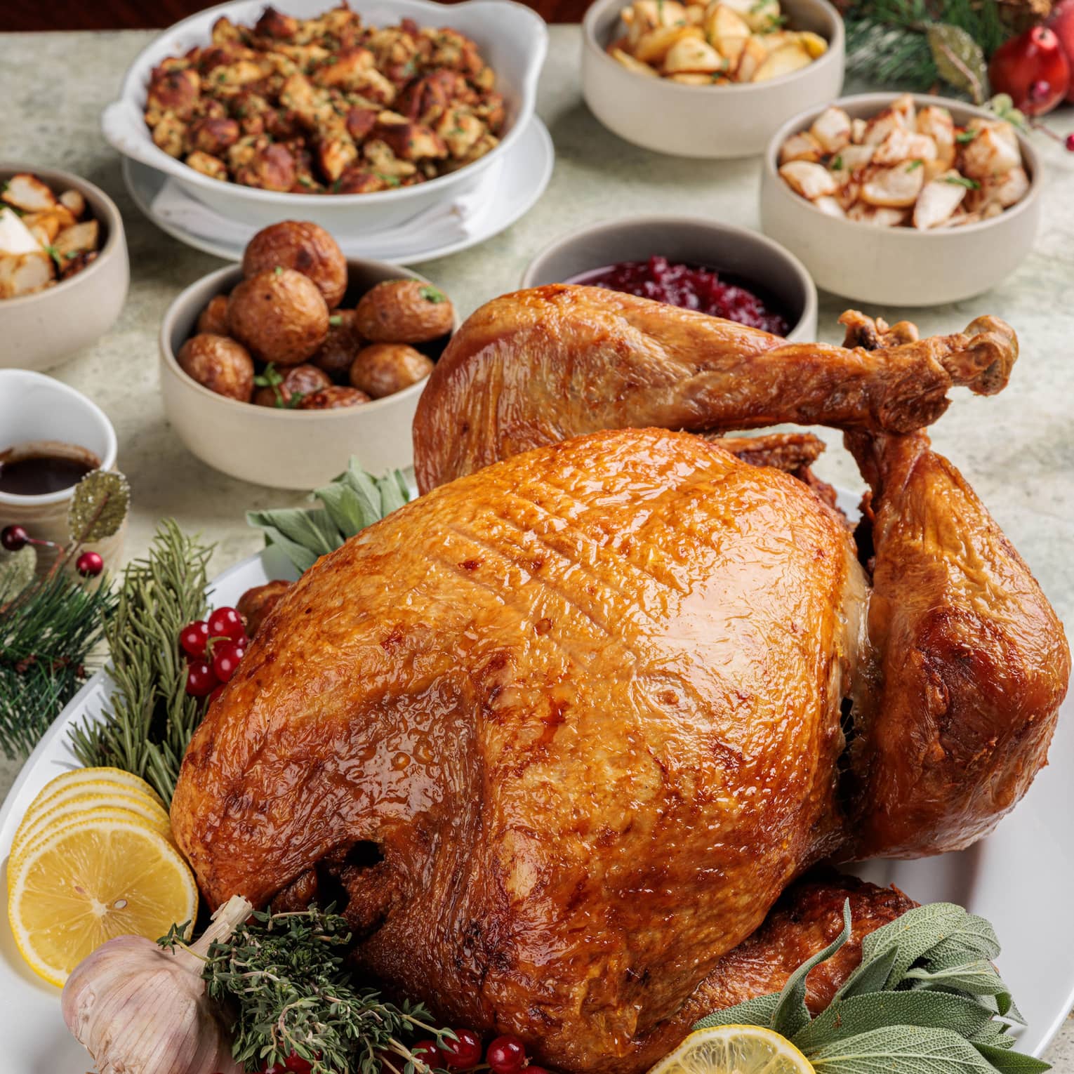 Whole roasted turkey on a white platter with lemon slices, green leaves, cranberries, garlic cloves and an assortment of holiday dishes in the background