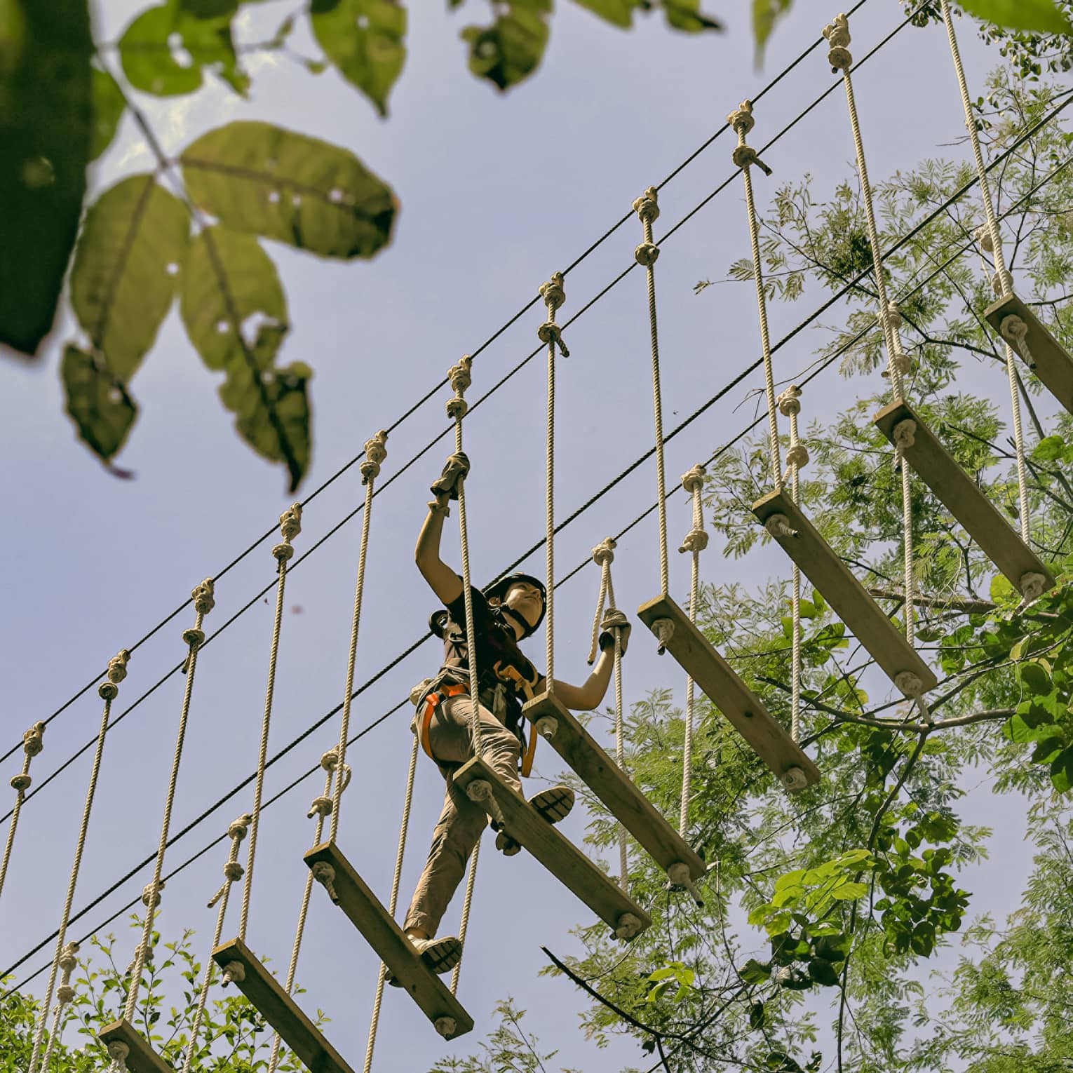 Overhead, a person crosses a bridge of wood planks suspended by ropes high above the forest canopy, surrounded by trees.