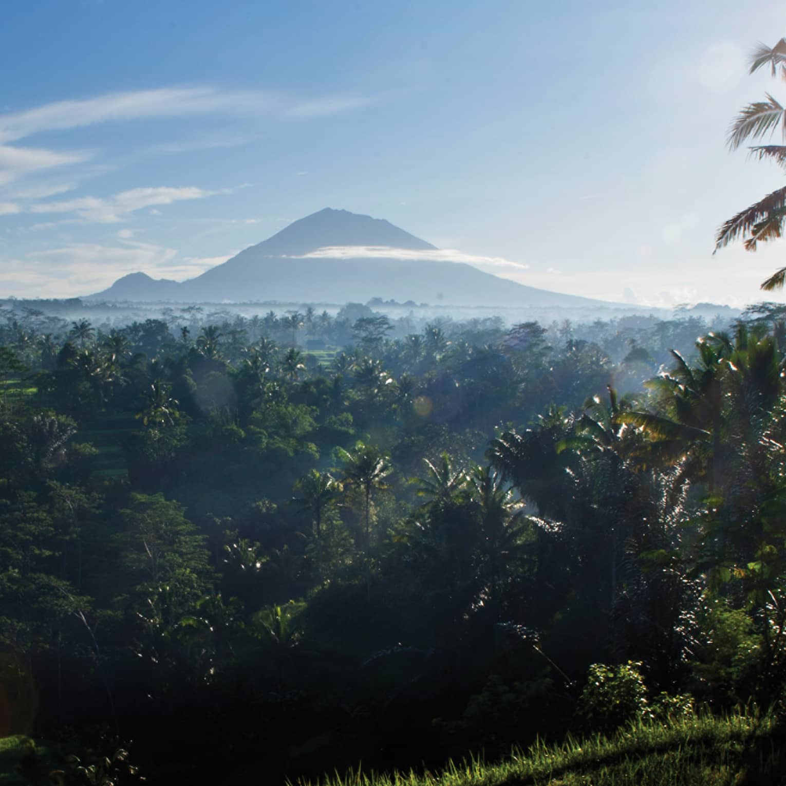 Distant volcanoes rise above the clouds and loom over a dense palm tree forest bathed in the glow of a blazing white sun.