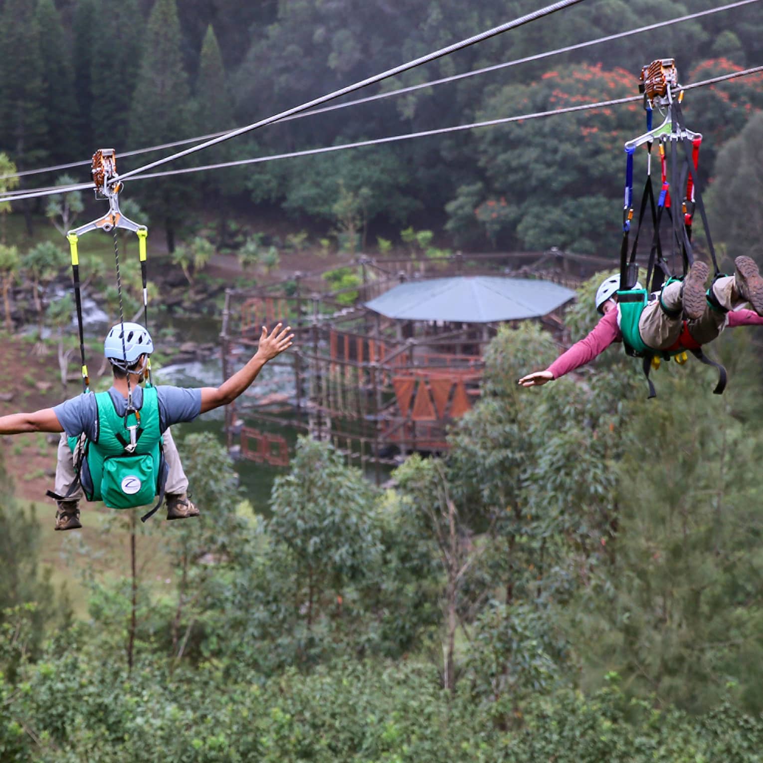 Adventure Park, two people glide down zip lines high above trees over mountain