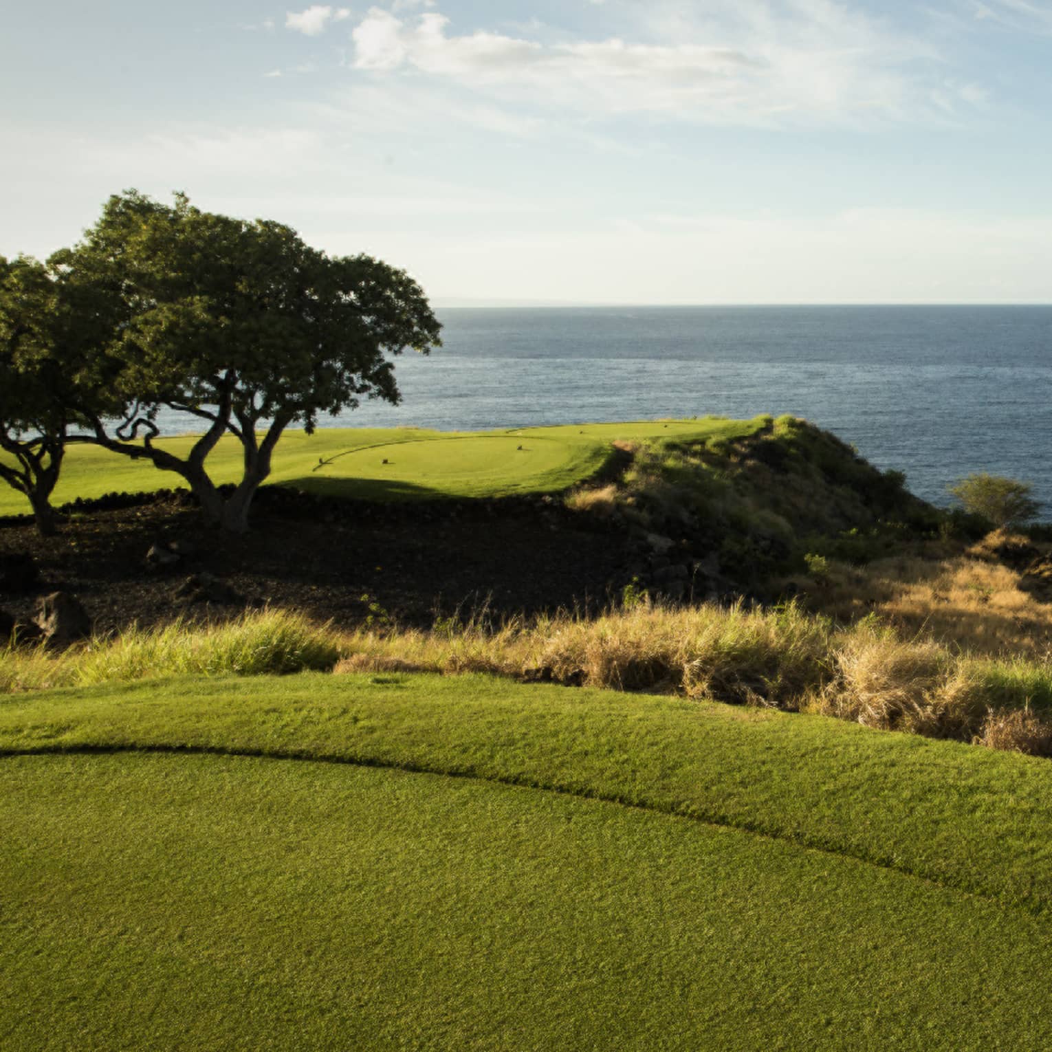 View from a manicured golf course set atop a coastline with grassy outcroppings and rocks below, ocean and clear sky beyond.