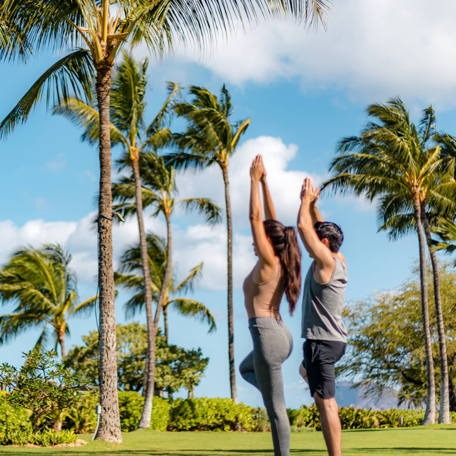 Two people stand in tree pose next to tall palm trees on Resort's Ocean Lawn