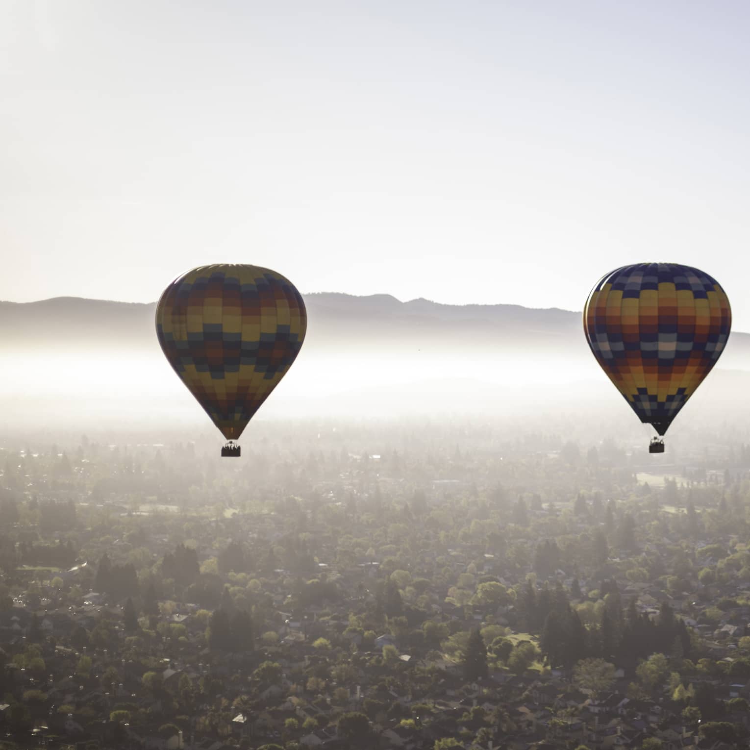 Two multi-coloured hot-air ballons float above a forested region, fog partially obscuring the mountains in the distance.