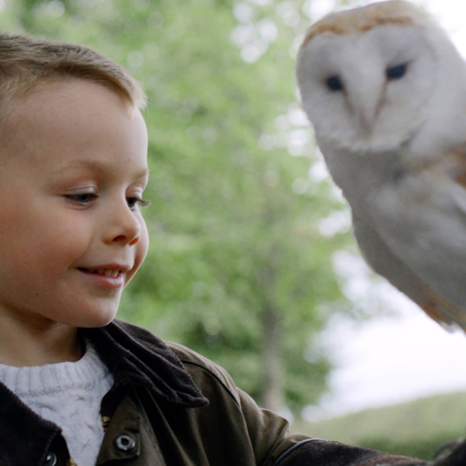 Child smiling with white owl perched on his forearm