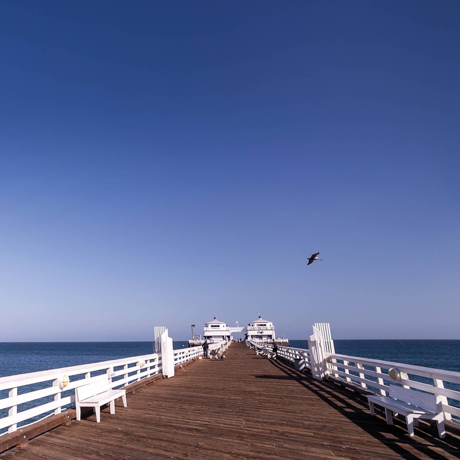 A long pier with dark wood flooring and white fence sides looking out at the blue ocean.