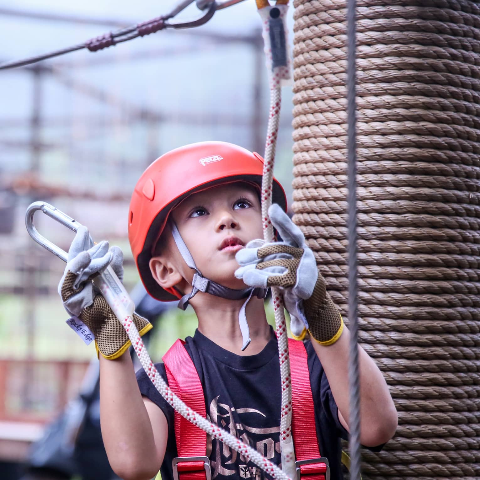 Young boy wearing helmet and harness holds clips and ropes
