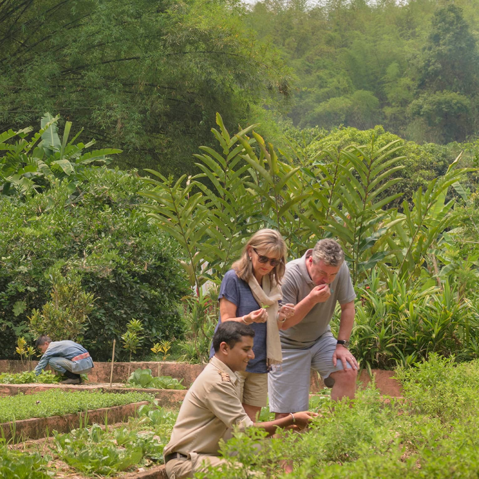 Couple learning about herbs and produce in a lush resort garden