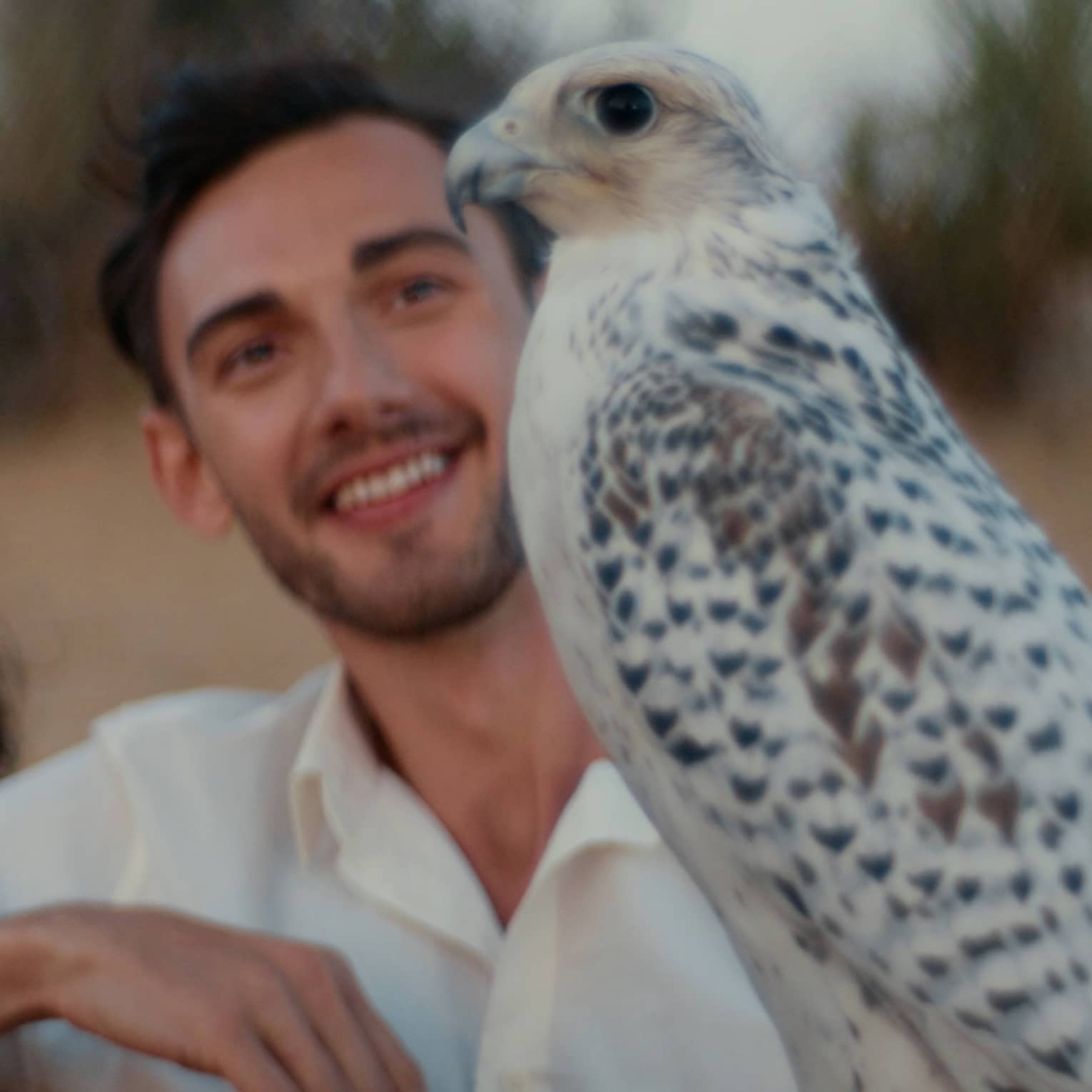 A couple sit next to an Arabian Oryx in the desert.