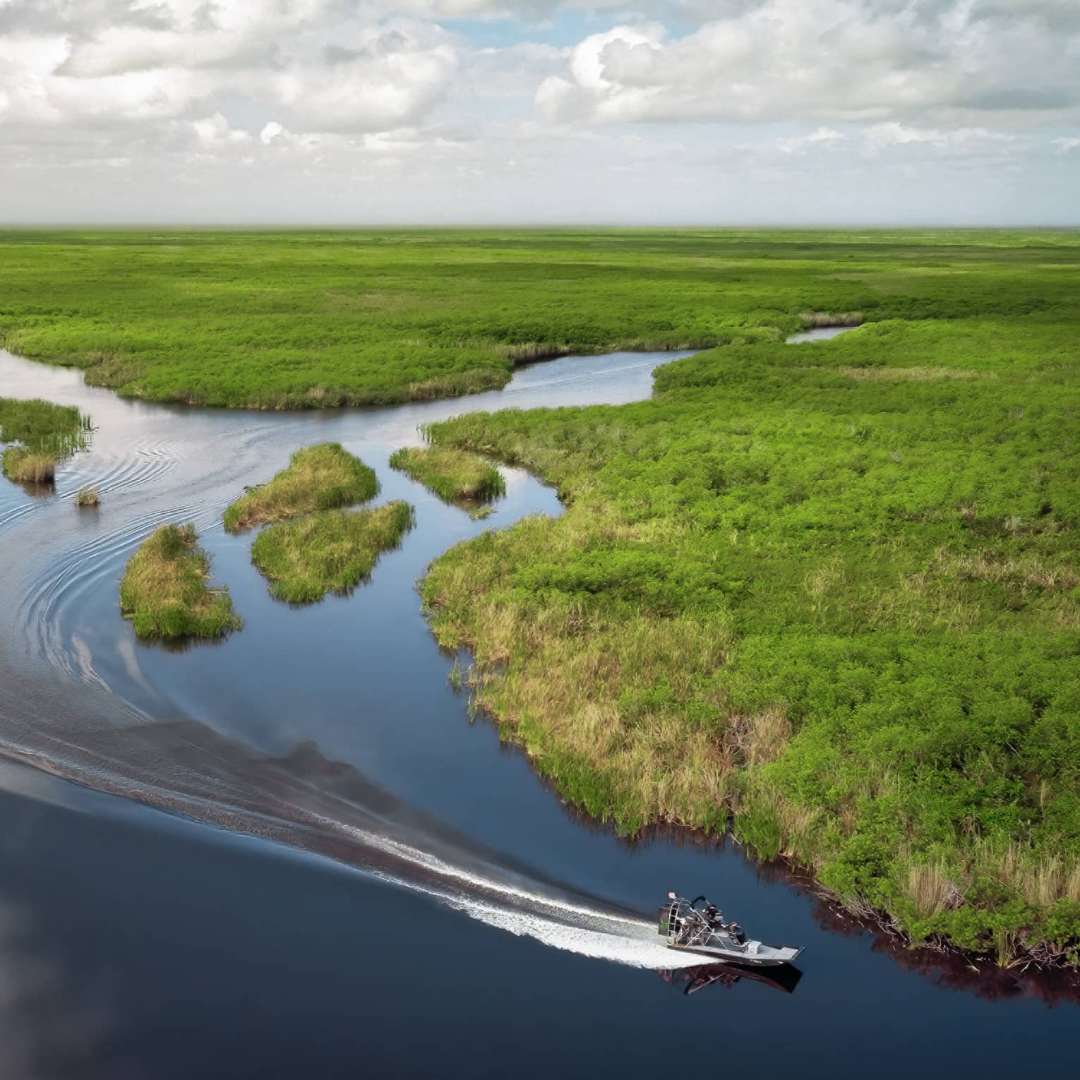 Aerial view of a boat zooming through water in the Florida everglades
