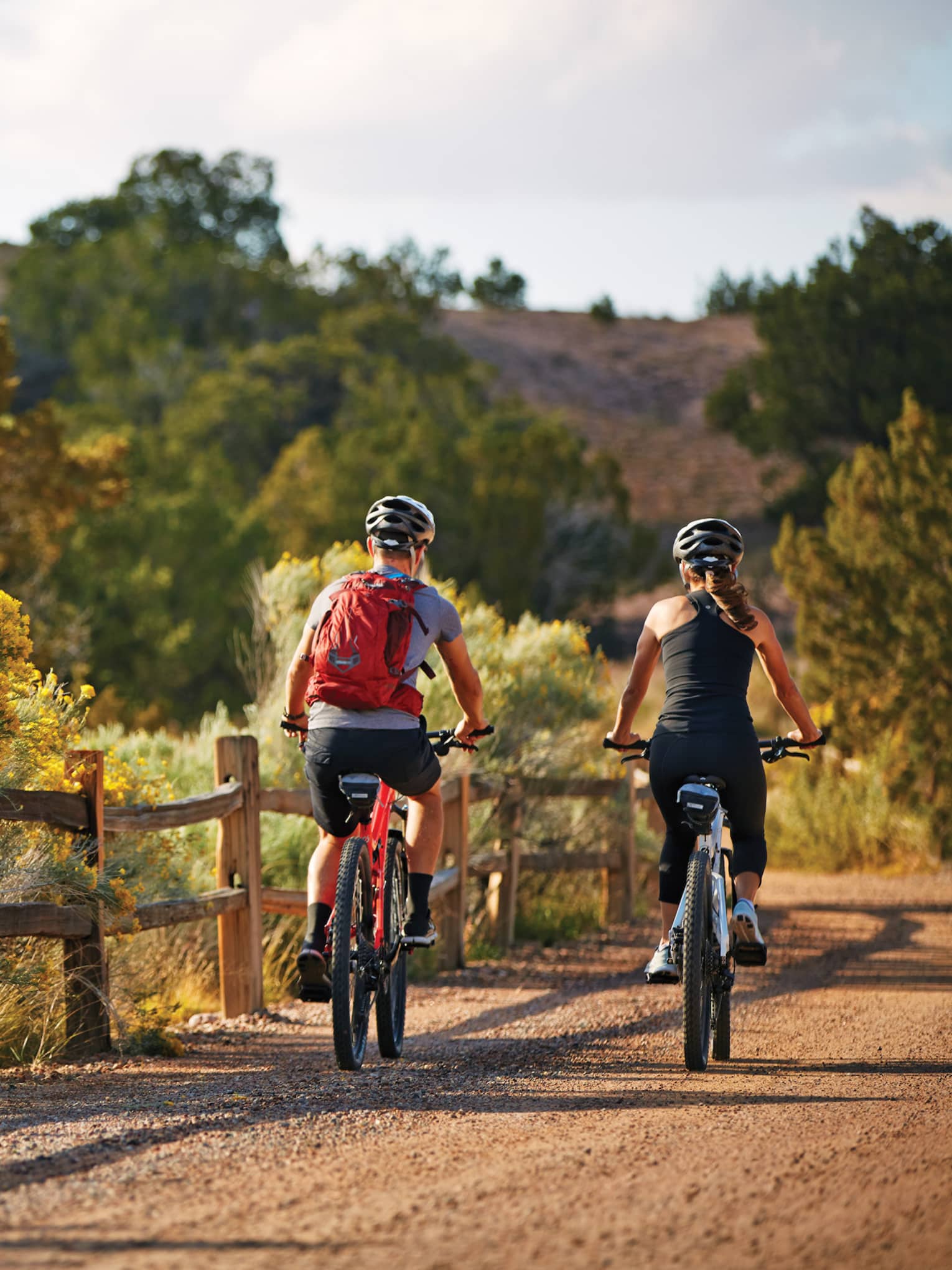Back of two cyclists riding on desert path past bushes