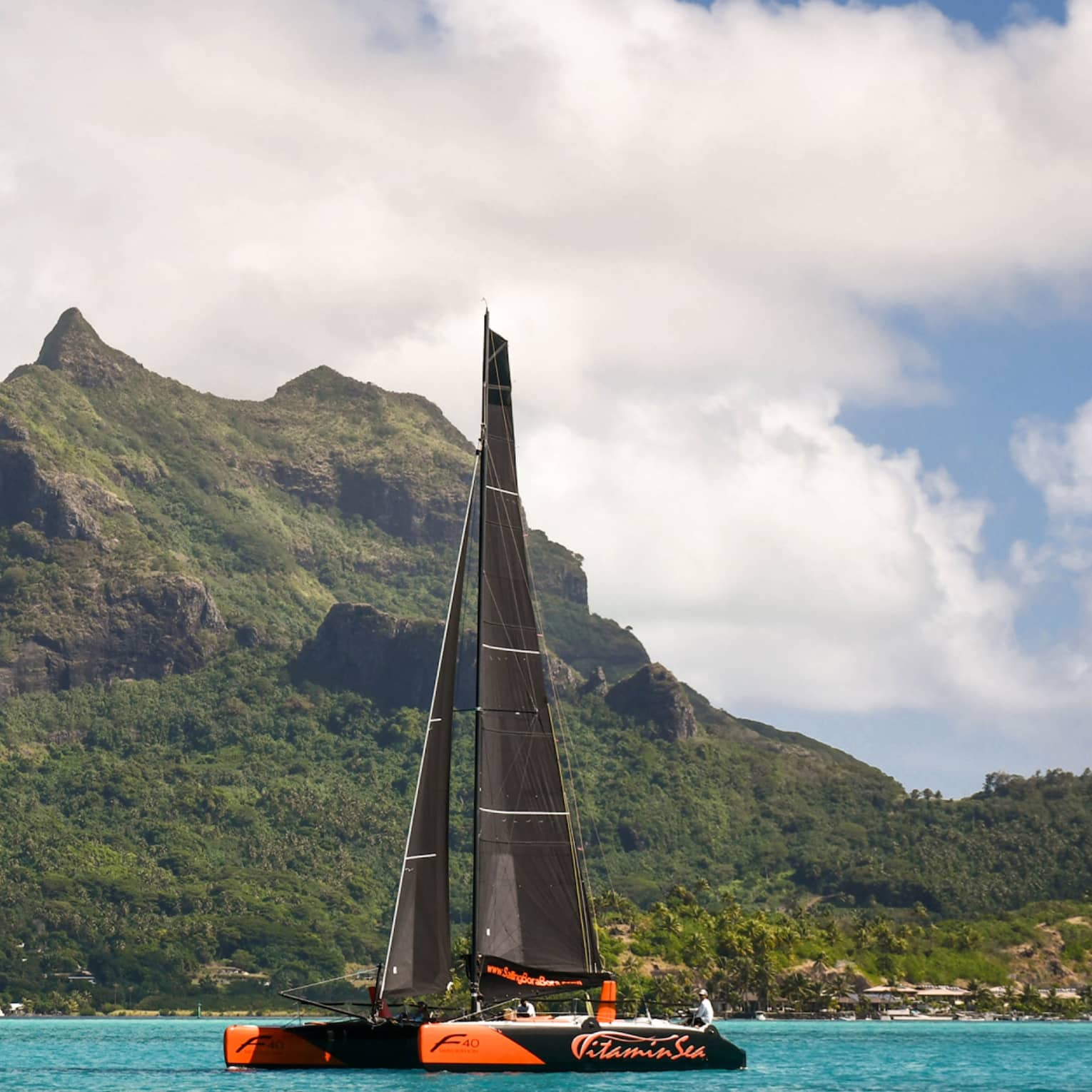 A catamaran with a tall sail floats in calm blue water alongside a forested island topped with towering rock formations.