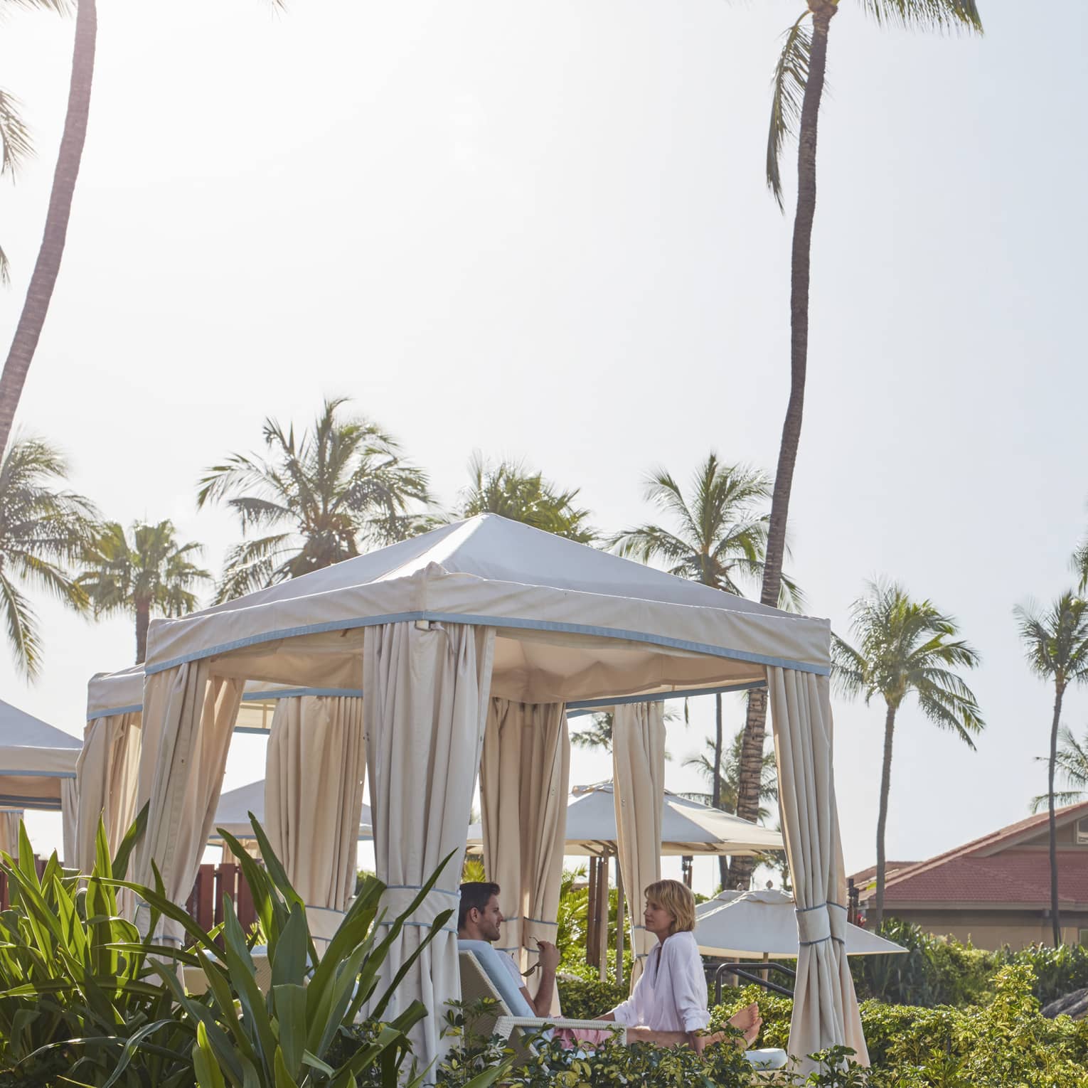 Tall palm trees over cabanas with white curtains on sunny day