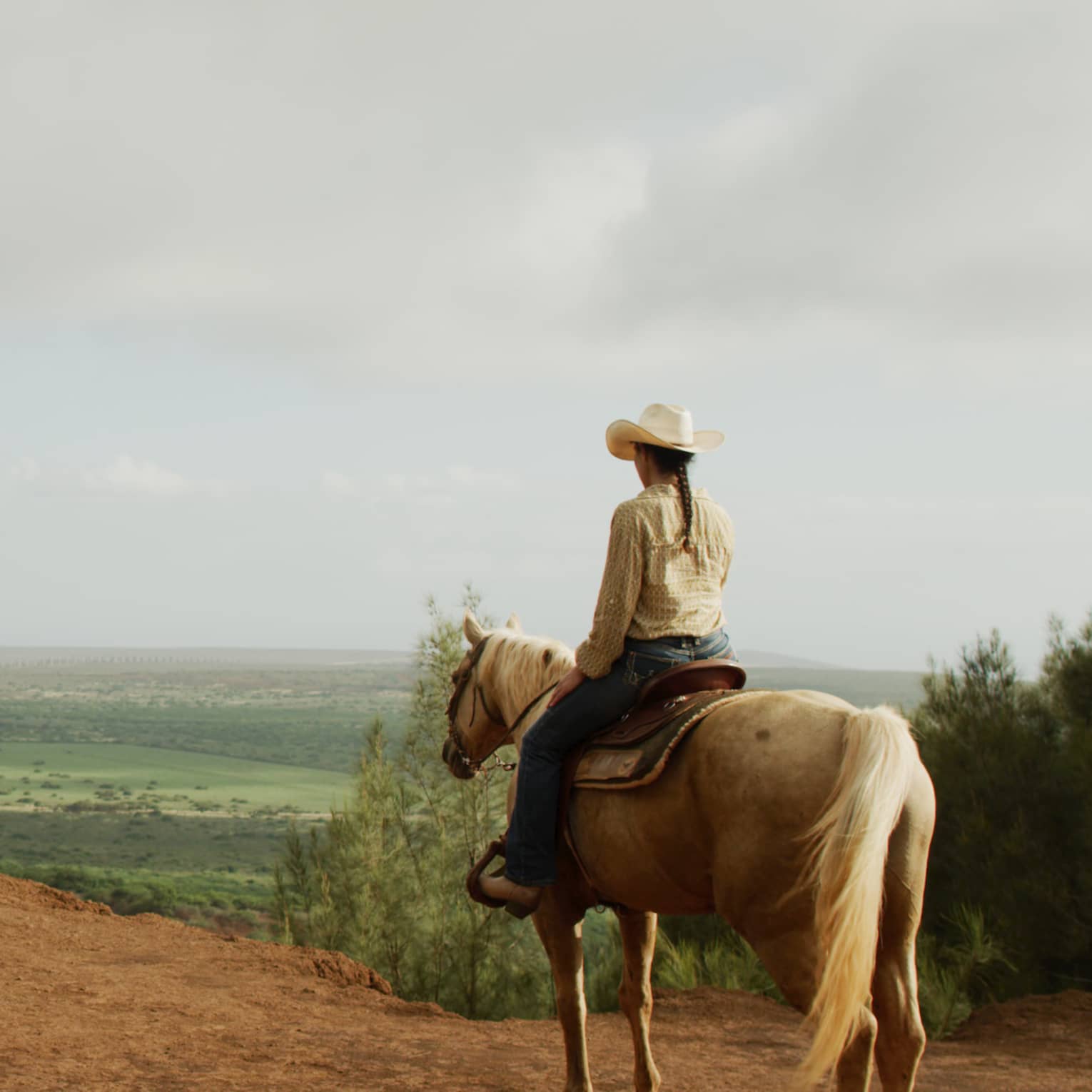 On a dirt track bordered by brush, rear view of a person on a golden horse viewing a green valley with distant houses beyond.