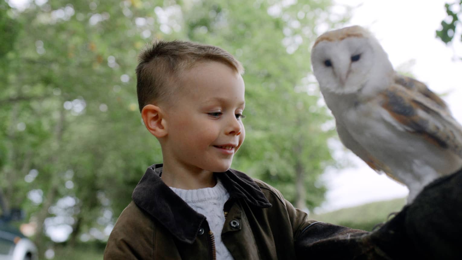 Child smiling with white owl perched on his forearm