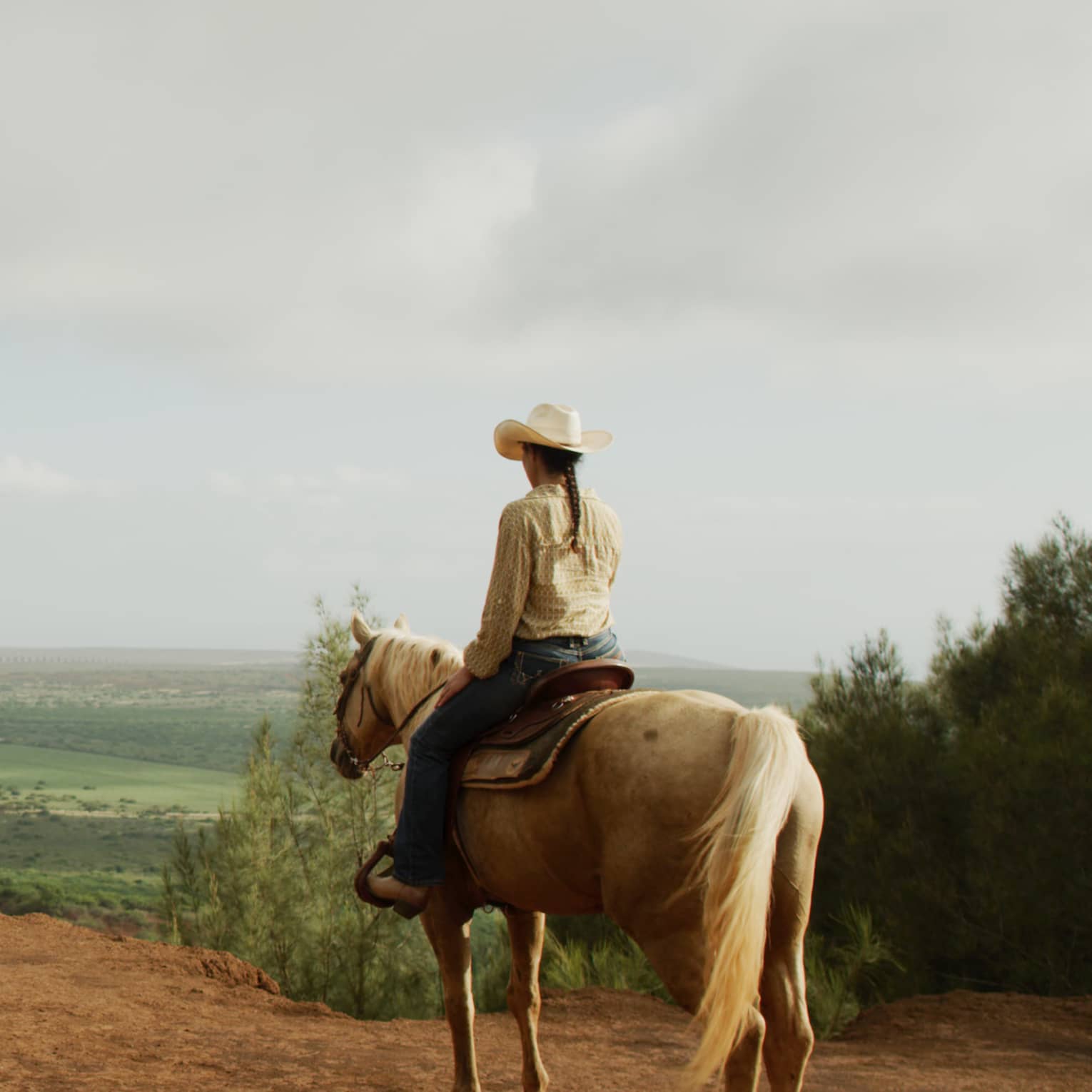 On a dirt track bordered by brush, rear view of a person on a golden horse viewing a green valley with distant houses beyond.